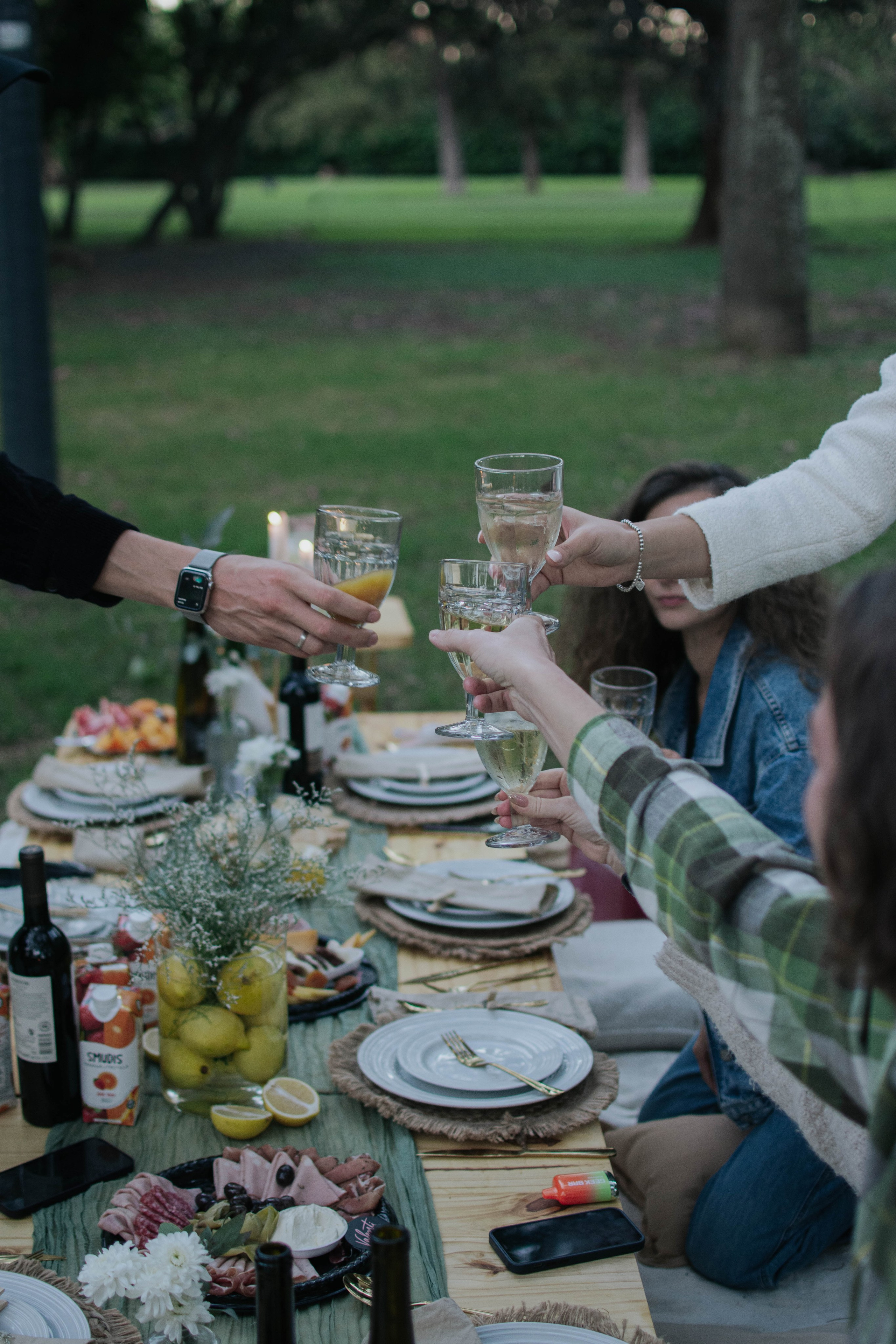 Birthday picnic. Reportage photofgraphy. Buenos Aires. Photographer @elmirkami in the city of Buenos Aires