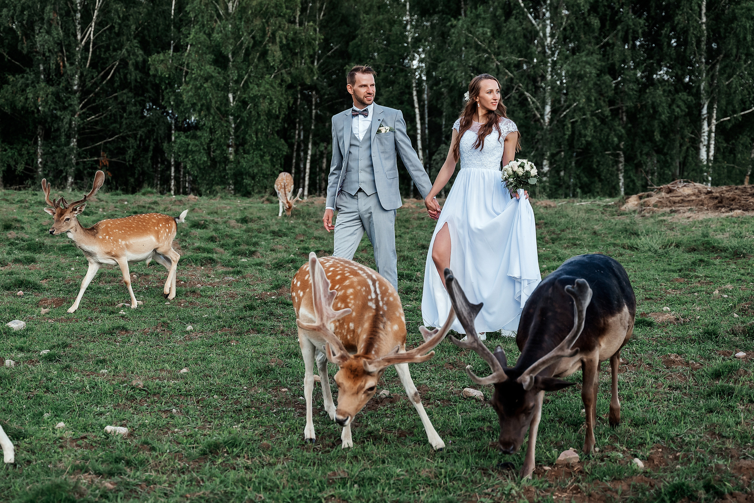 Кристина и Янис. Ваш фотограф в Латгалии — Александра Юхневича!
