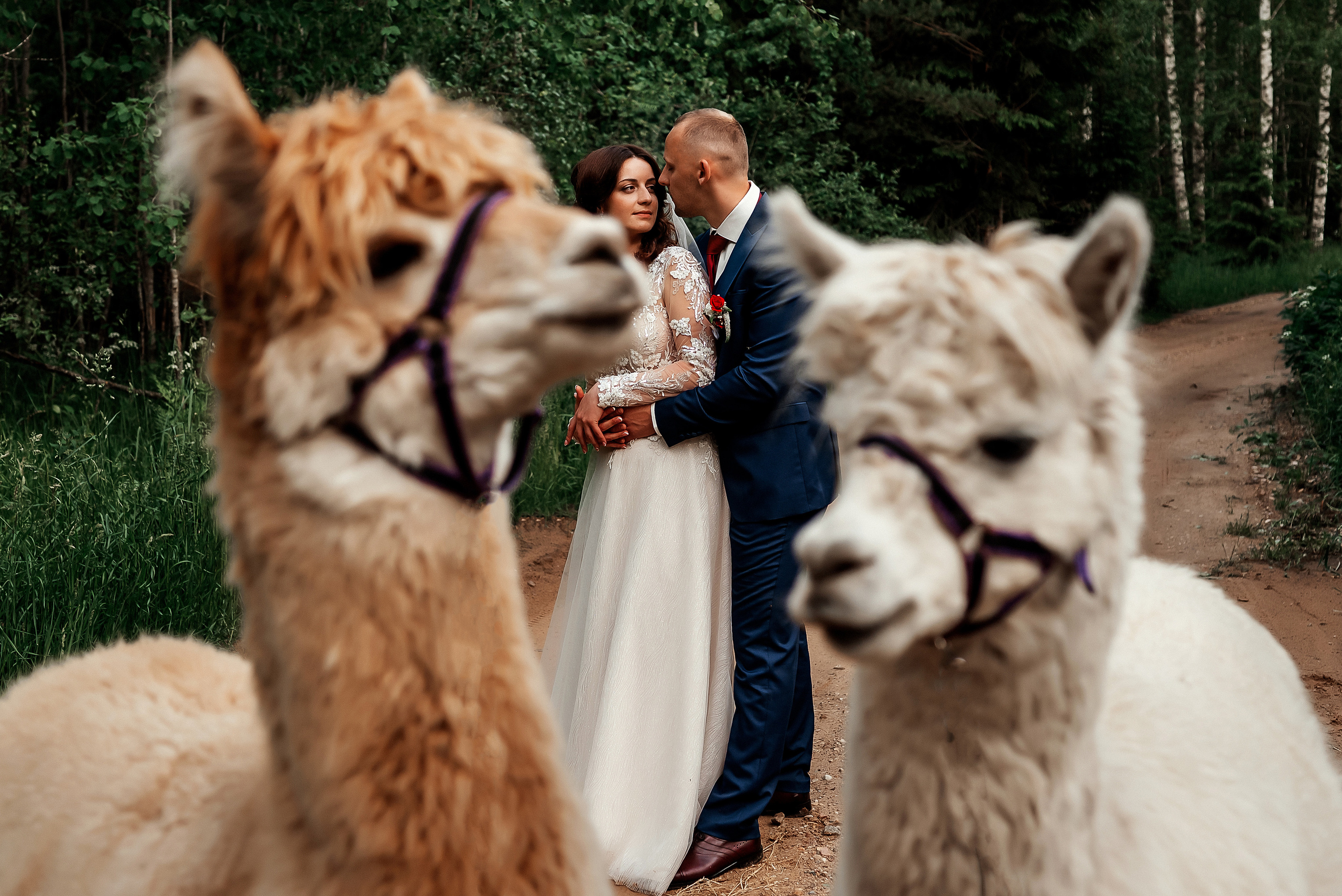 Juta un Emīls. Ваш фотограф в Латгалии — Александра Юхневича!