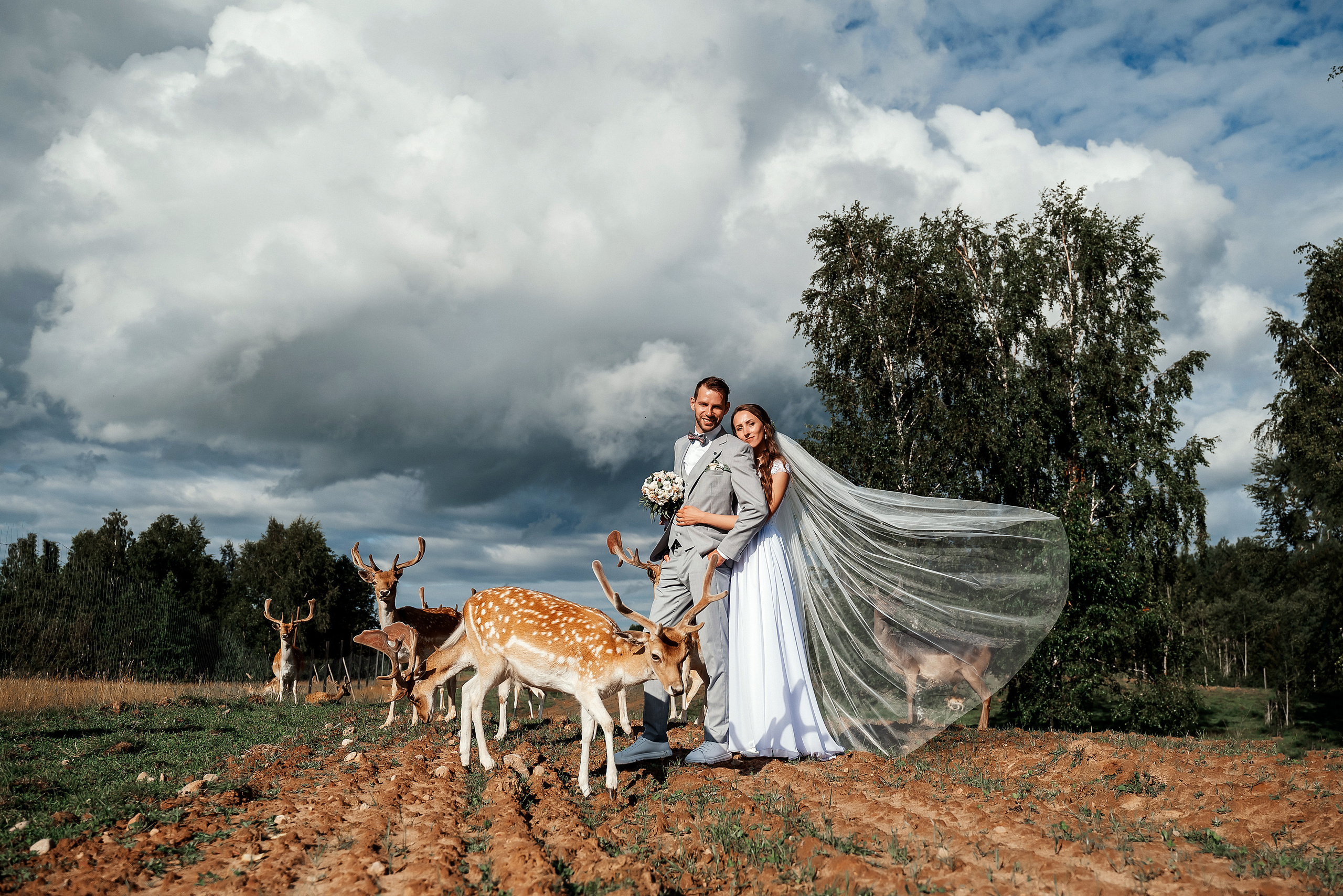 Кристина и Янис. Ваш фотограф в Латгалии — Александра Юхневича!