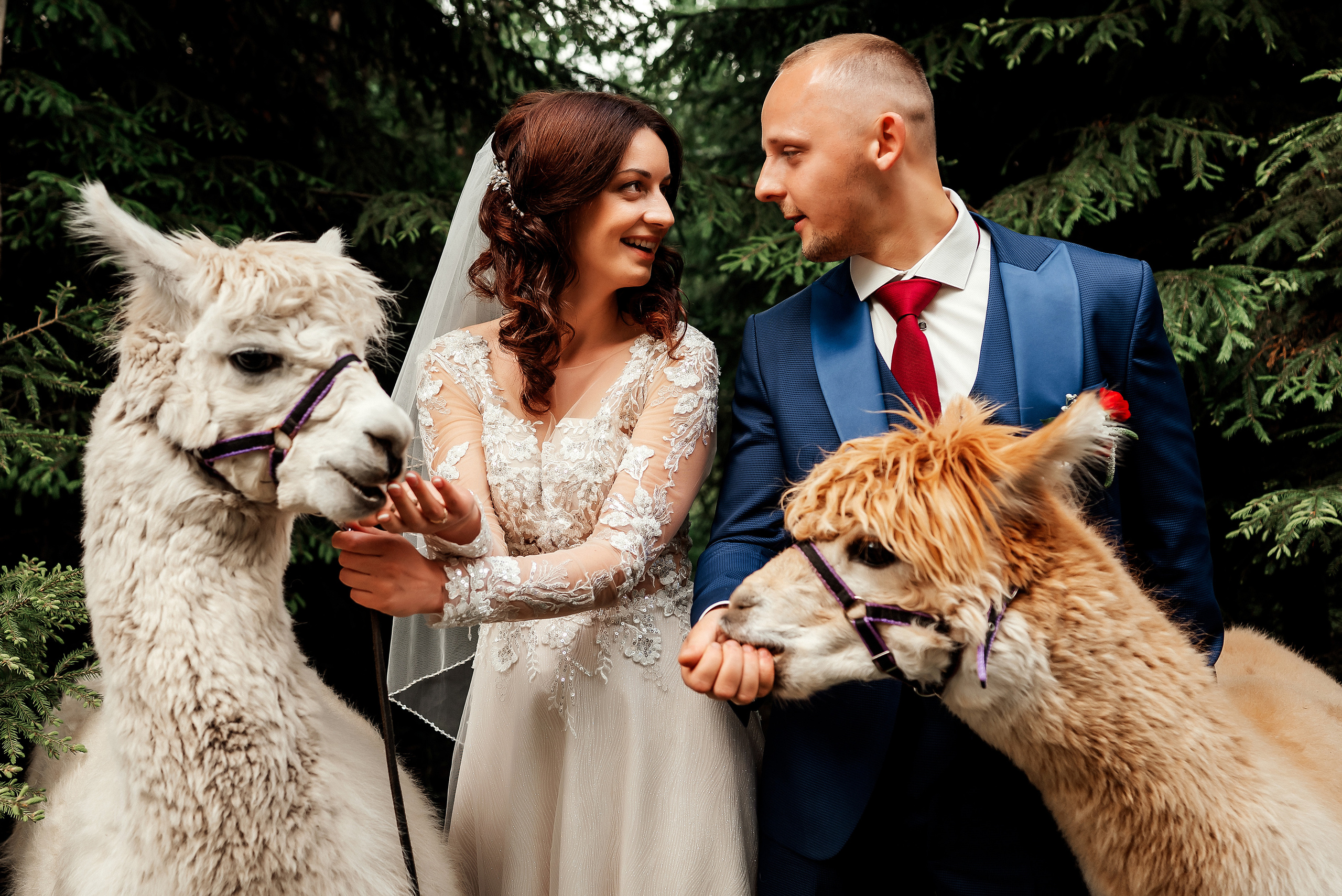 Juta un Emīls. Ваш фотограф в Латгалии — Александра Юхневича!