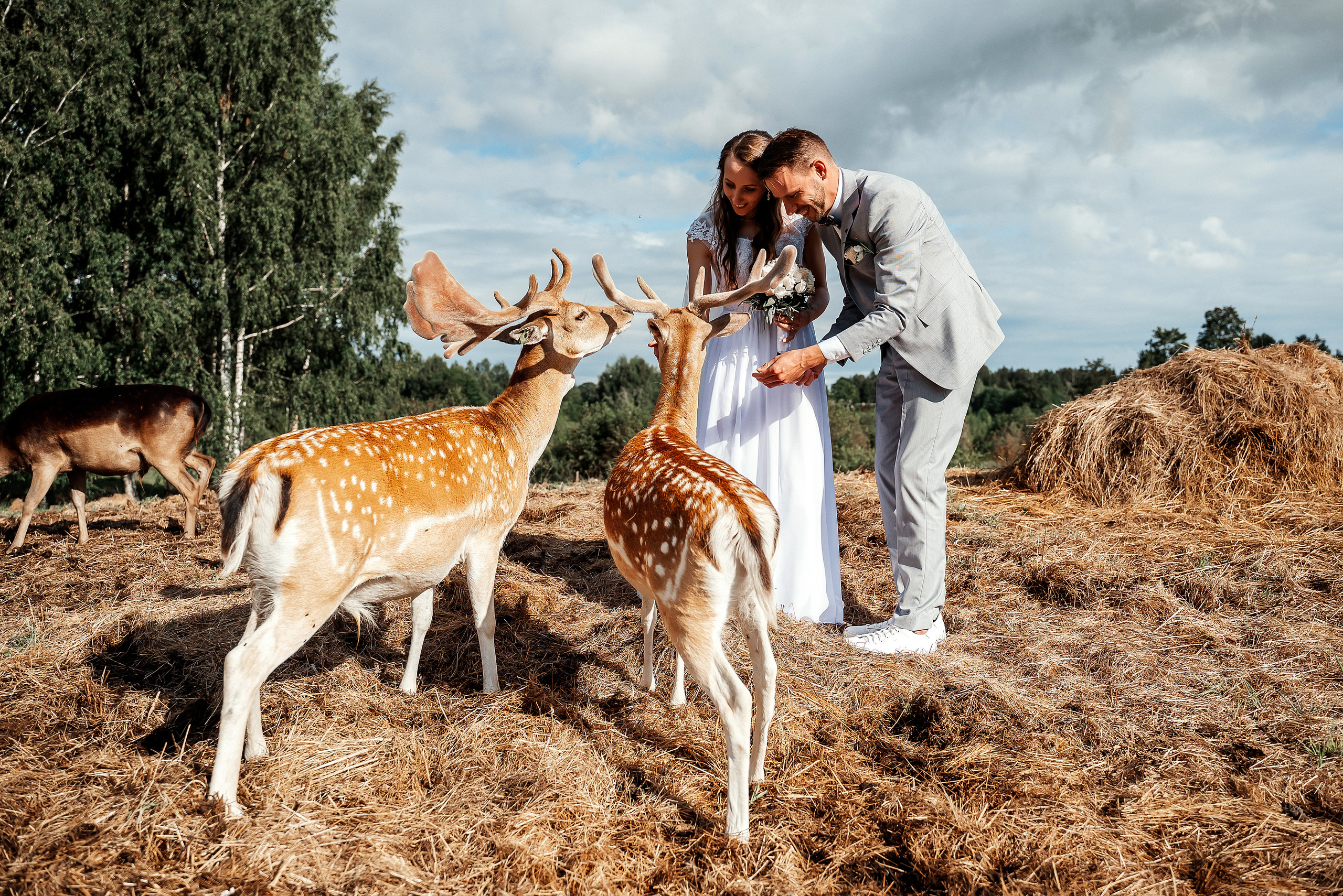 Кристина и Янис. Ваш фотограф в Латгалии — Александра Юхневича!