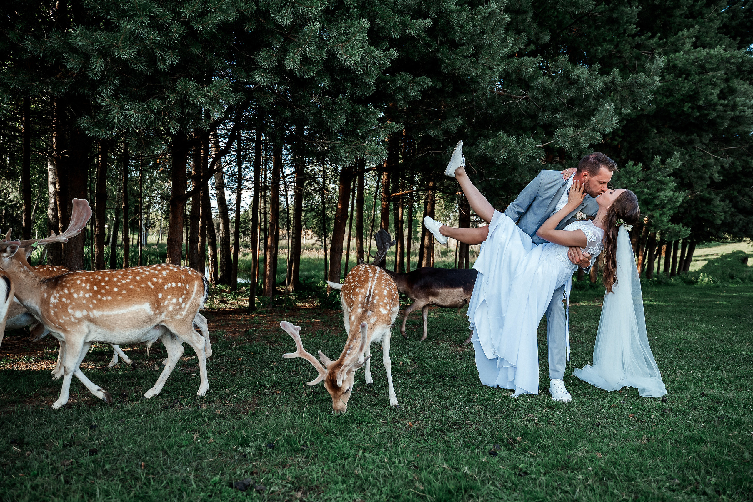Кристина и Янис. Ваш фотограф в Латгалии — Александра Юхневича!