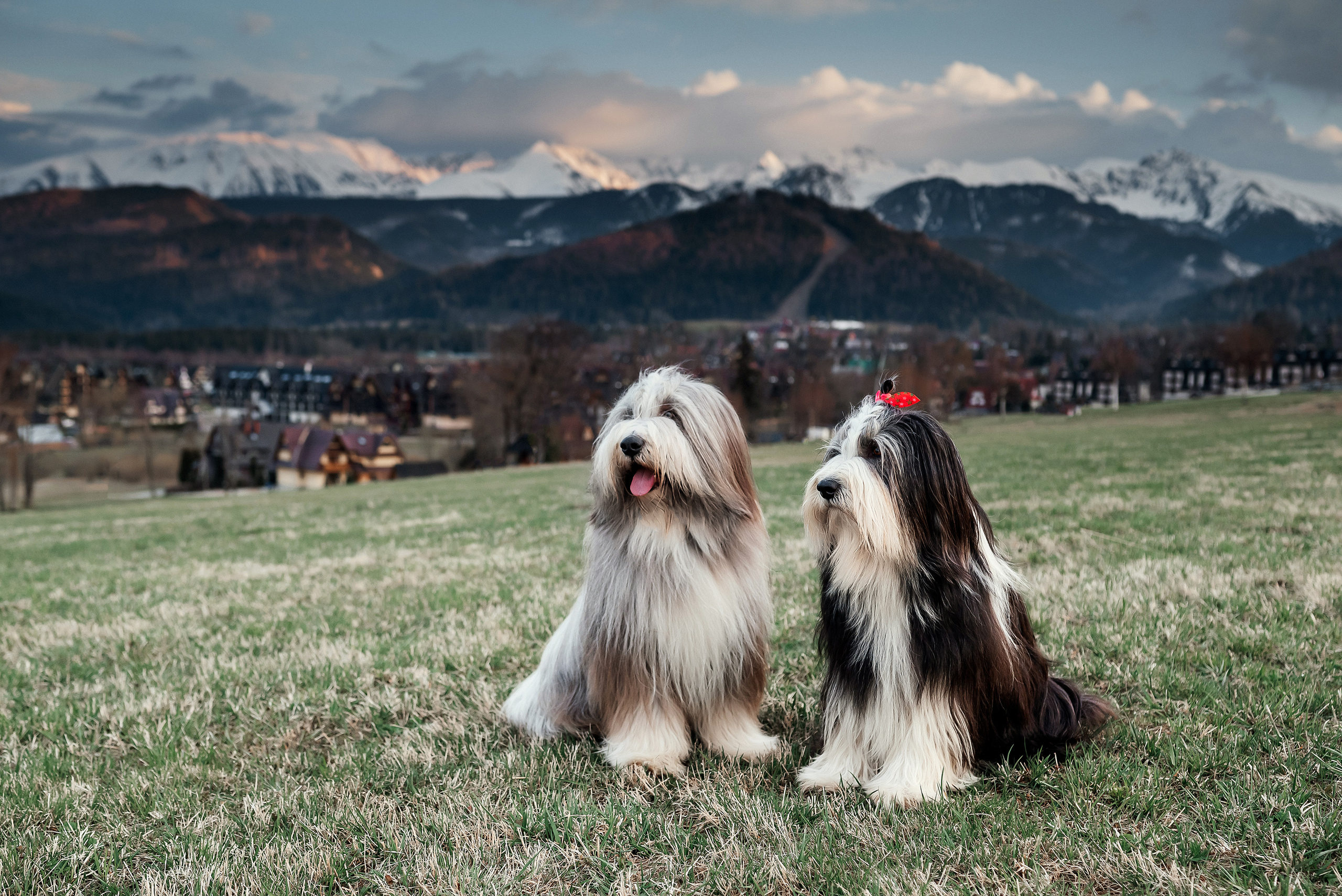 Roksana. Zakopane. Ваш фотограф в Латгалии — Александра Юхневича!