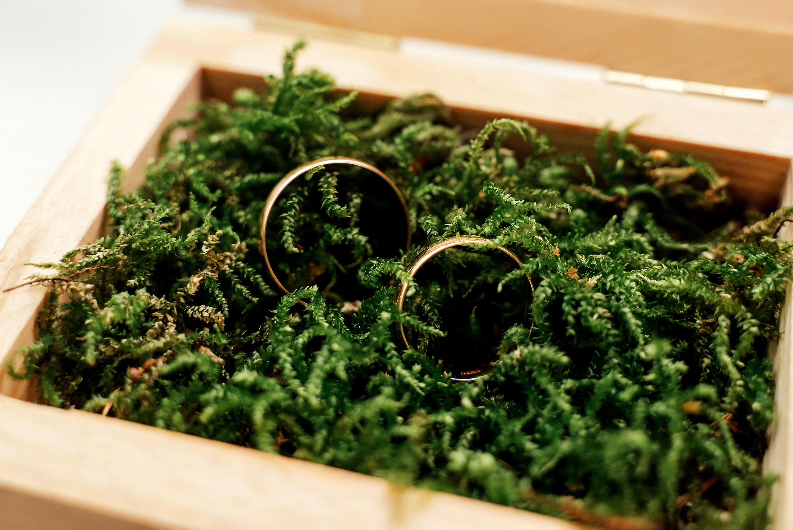 Кристина и Янис. Ваш фотограф в Латгалии — Александра Юхневича!