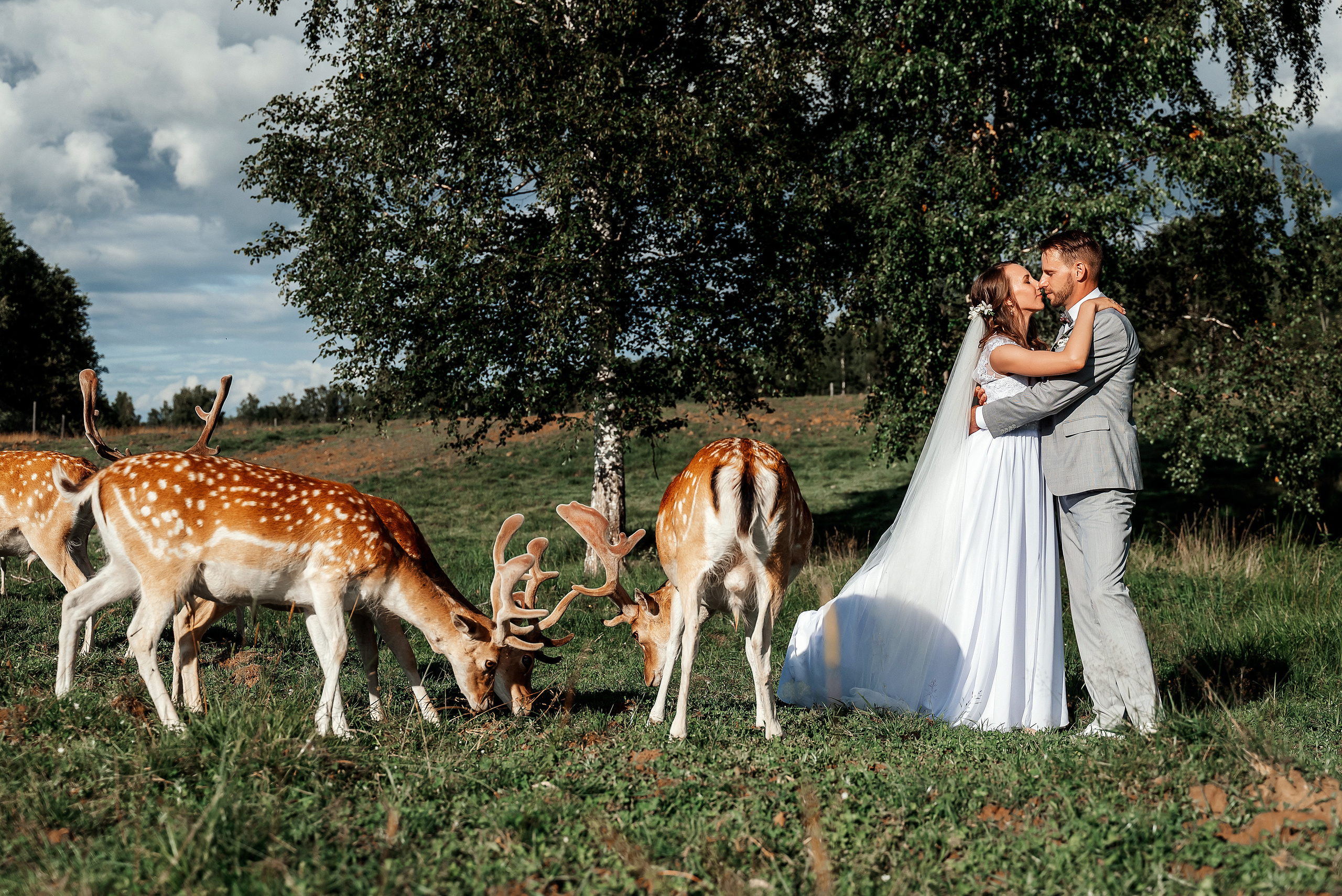 Кристина и Янис. Ваш фотограф в Латгалии — Александра Юхневича!