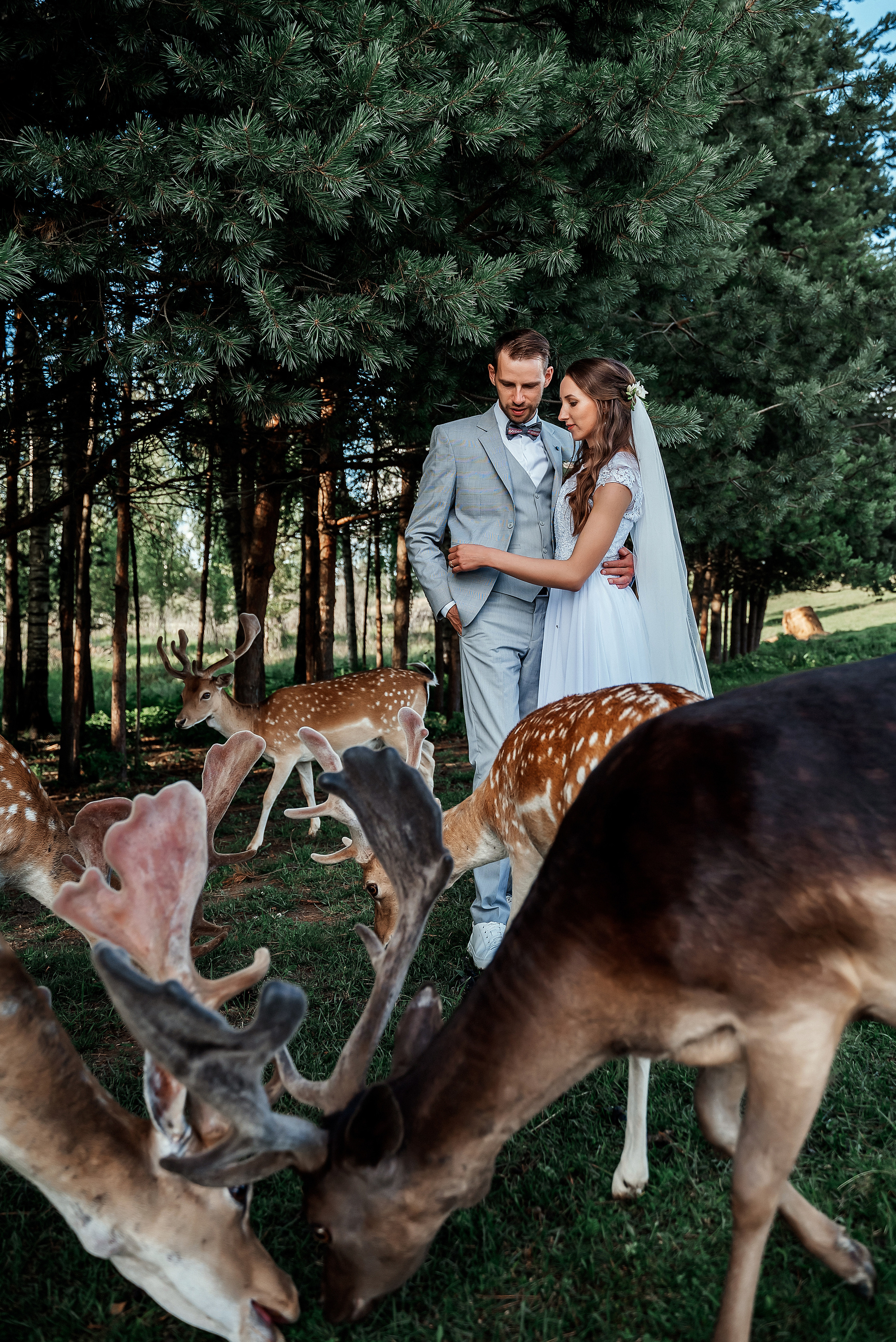 Кристина и Янис. Ваш фотограф в Латгалии — Александра Юхневича!