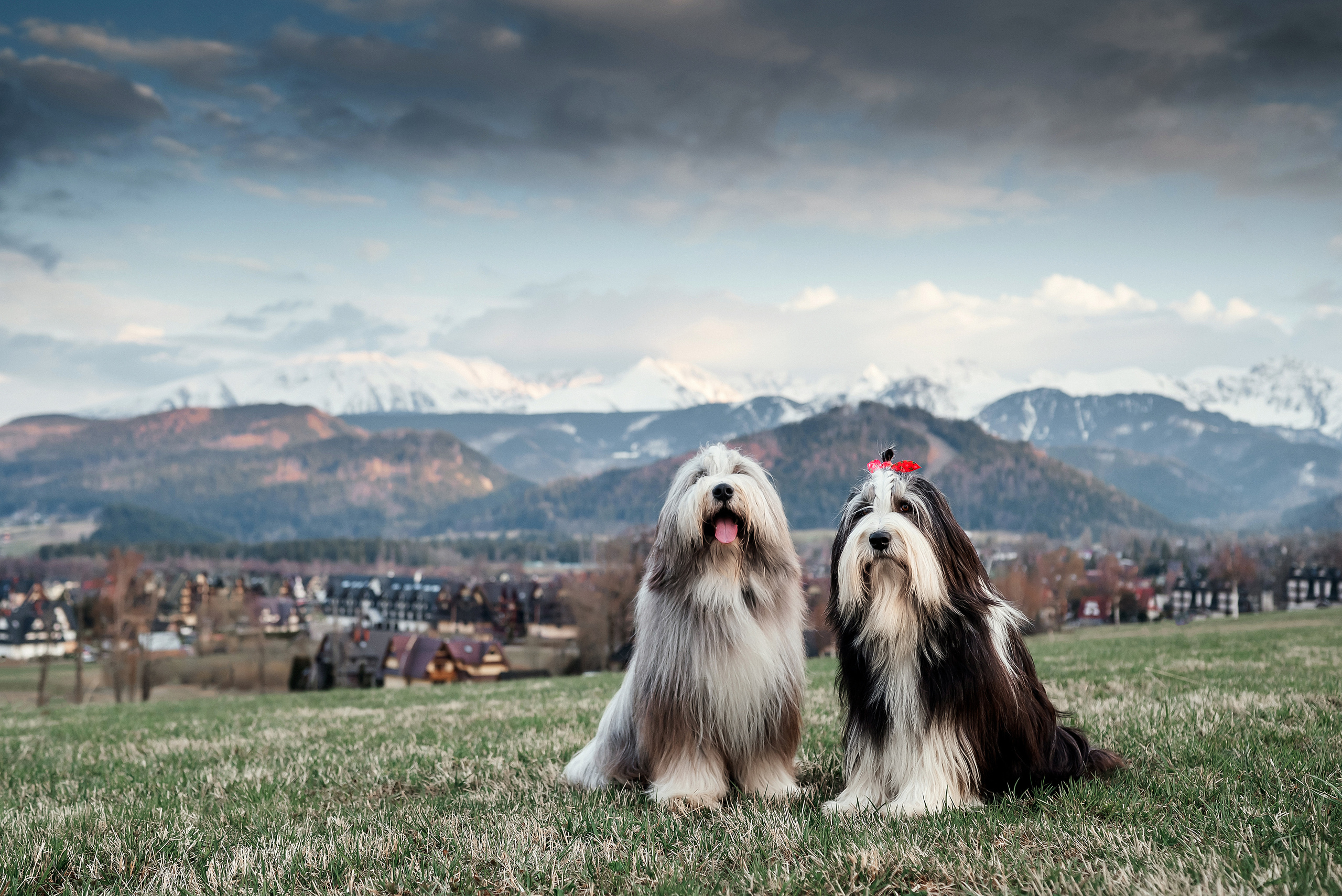 Roksana. Zakopane. Ваш фотограф в Латгалии — Александра Юхневича!