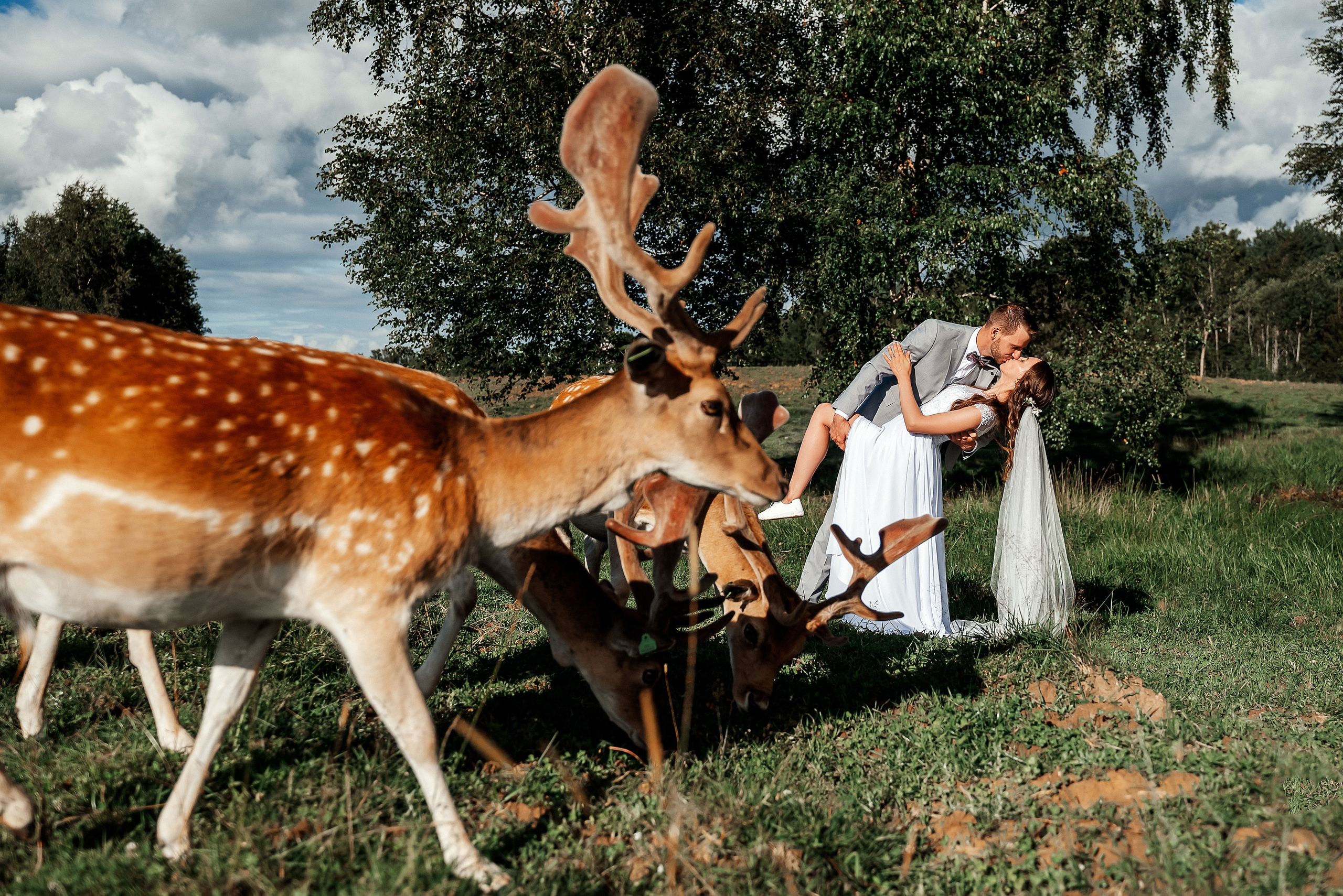 Кристина и Янис. Ваш фотограф в Латгалии — Александра Юхневича!