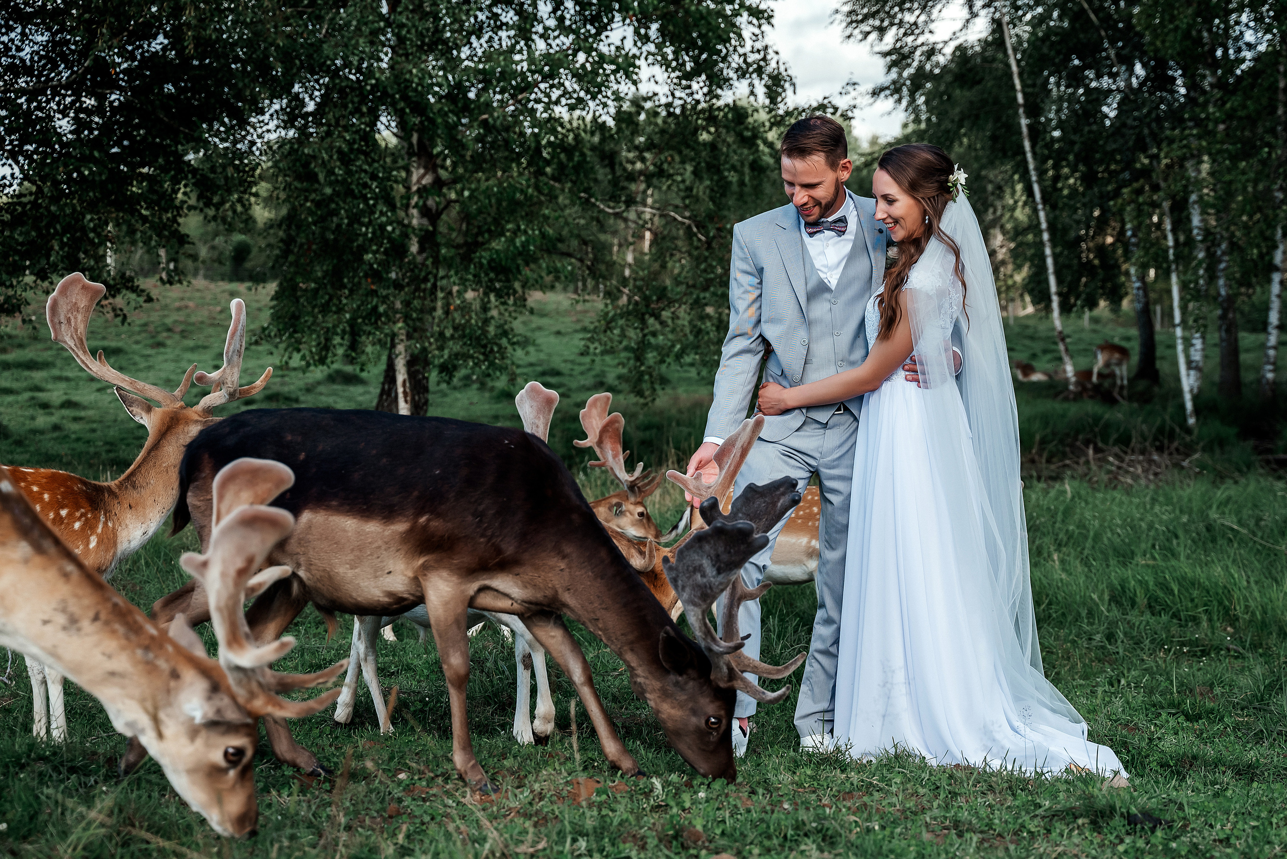 Кристина и Янис. Ваш фотограф в Латгалии — Александра Юхневича!