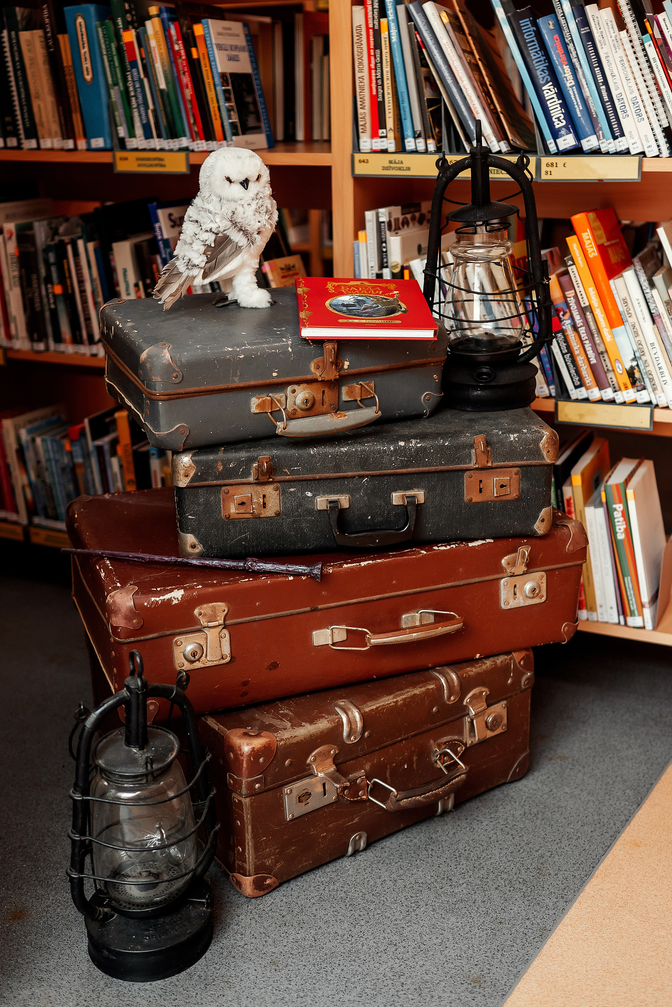 София из Хогвардса. Ваш фотограф в Латгалии — Александра Юхневича!