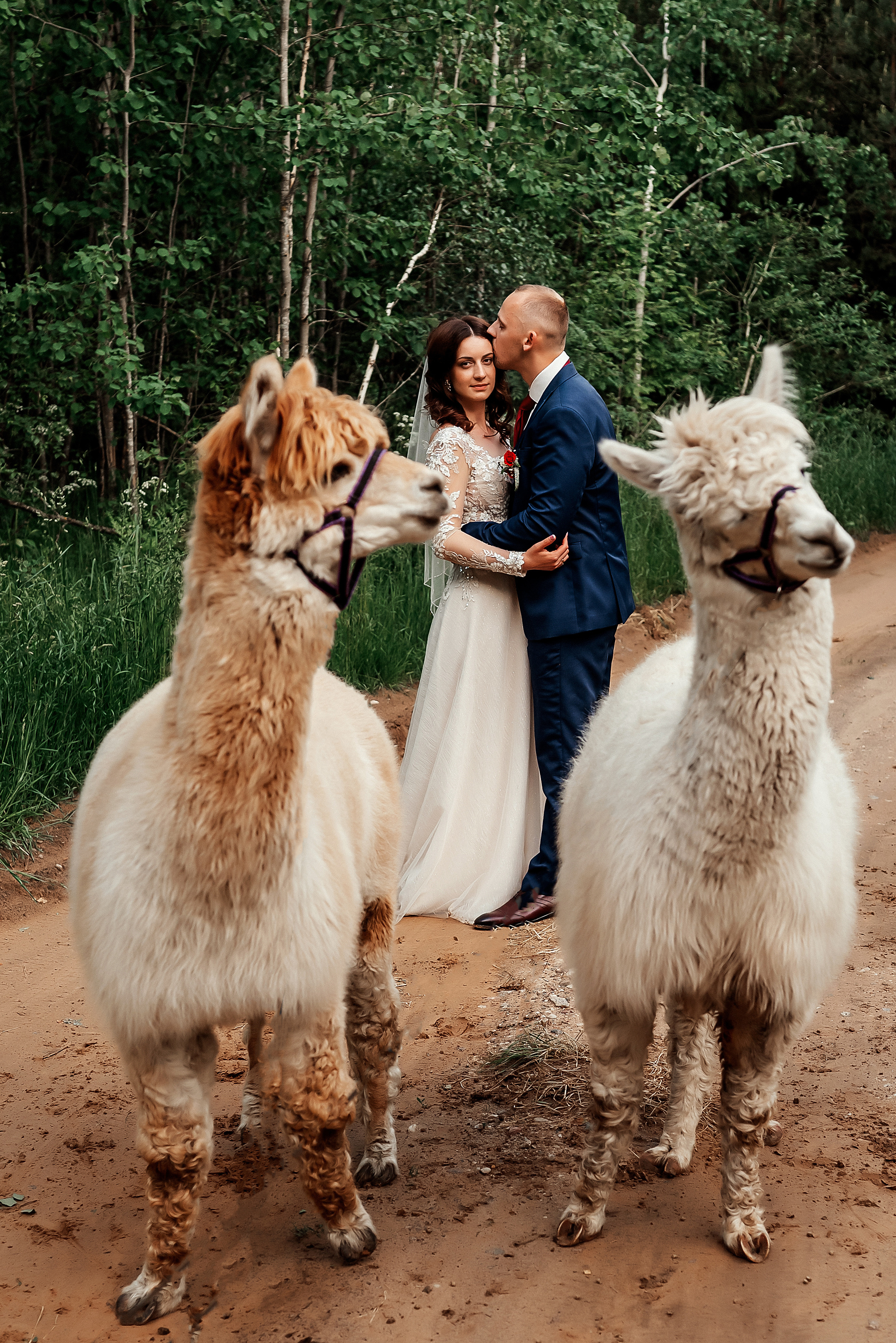 Juta un Emīls. Ваш фотограф в Латгалии — Александра Юхневича!