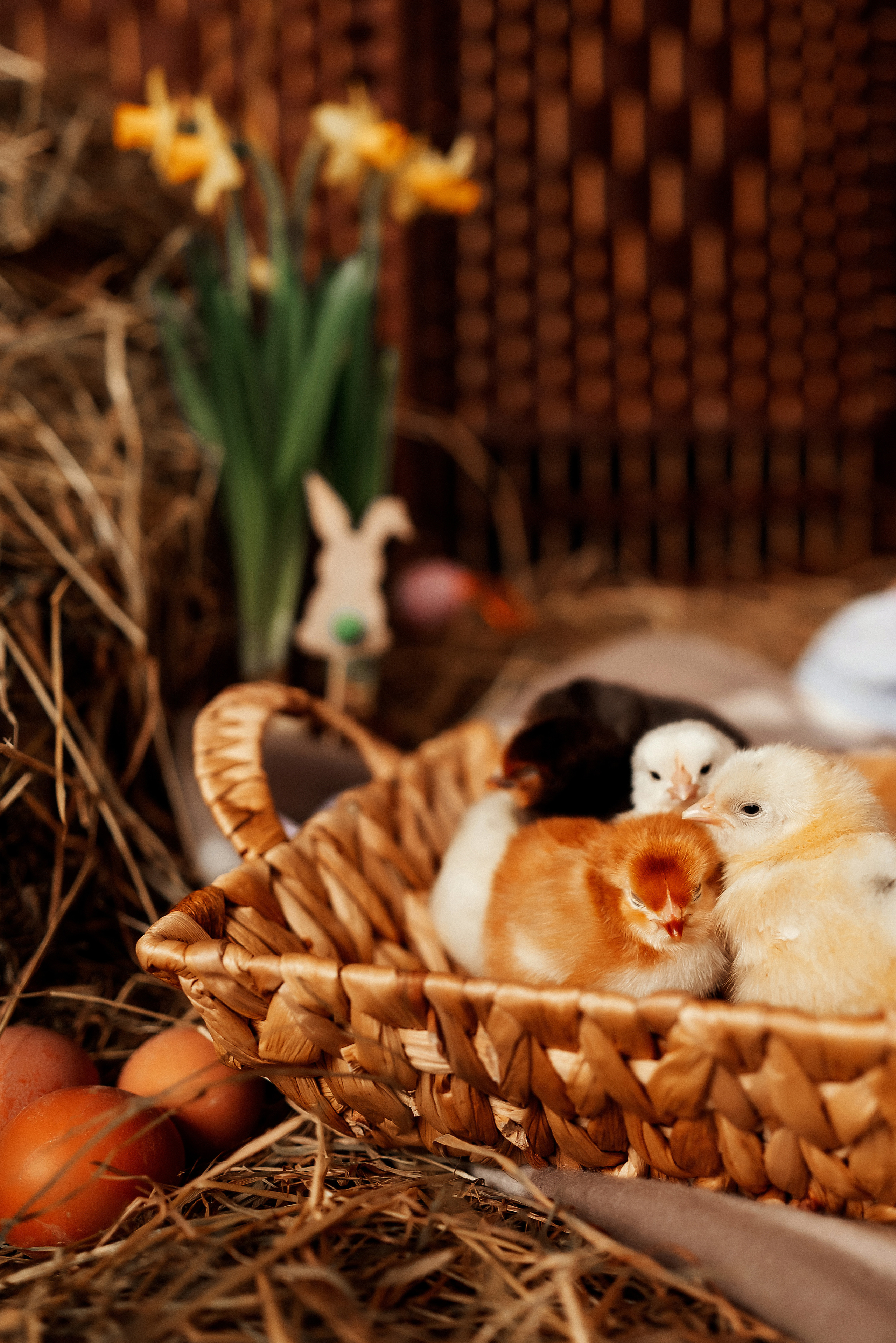 Mila easter. Ваш фотограф в Латгалии — Александра Юхневича!