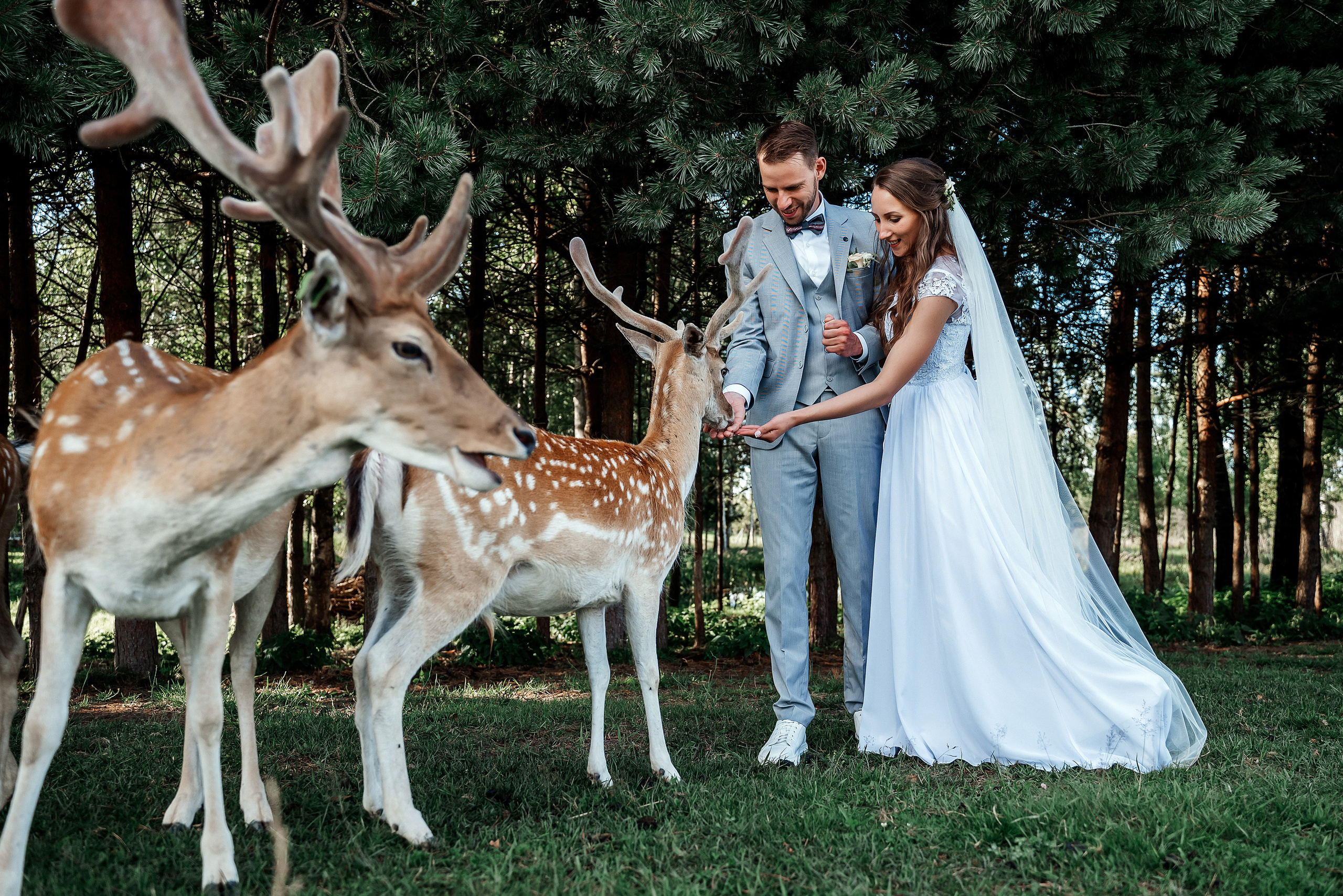 Кристина и Янис. Ваш фотограф в Латгалии — Александра Юхневича!