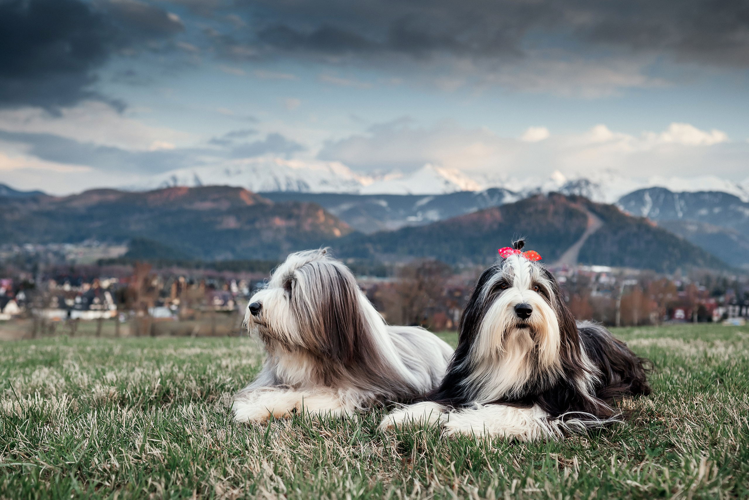 Roksana. Zakopane. Ваш фотограф в Латгалии — Александра Юхневича!