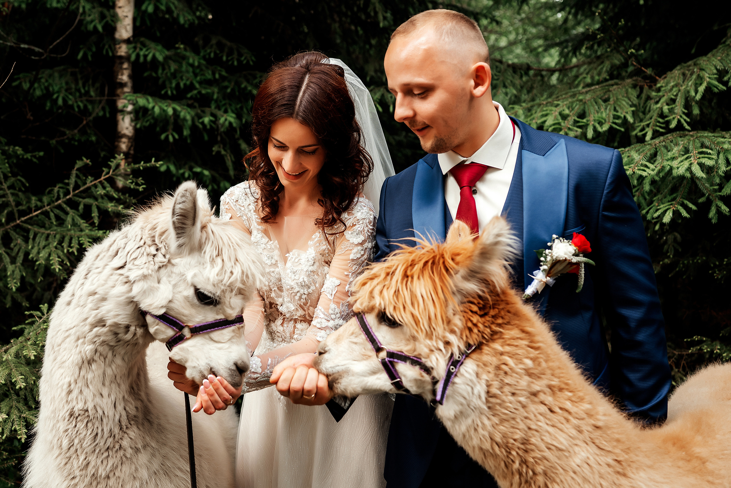 Juta un Emīls. Ваш фотограф в Латгалии — Александра Юхневича!