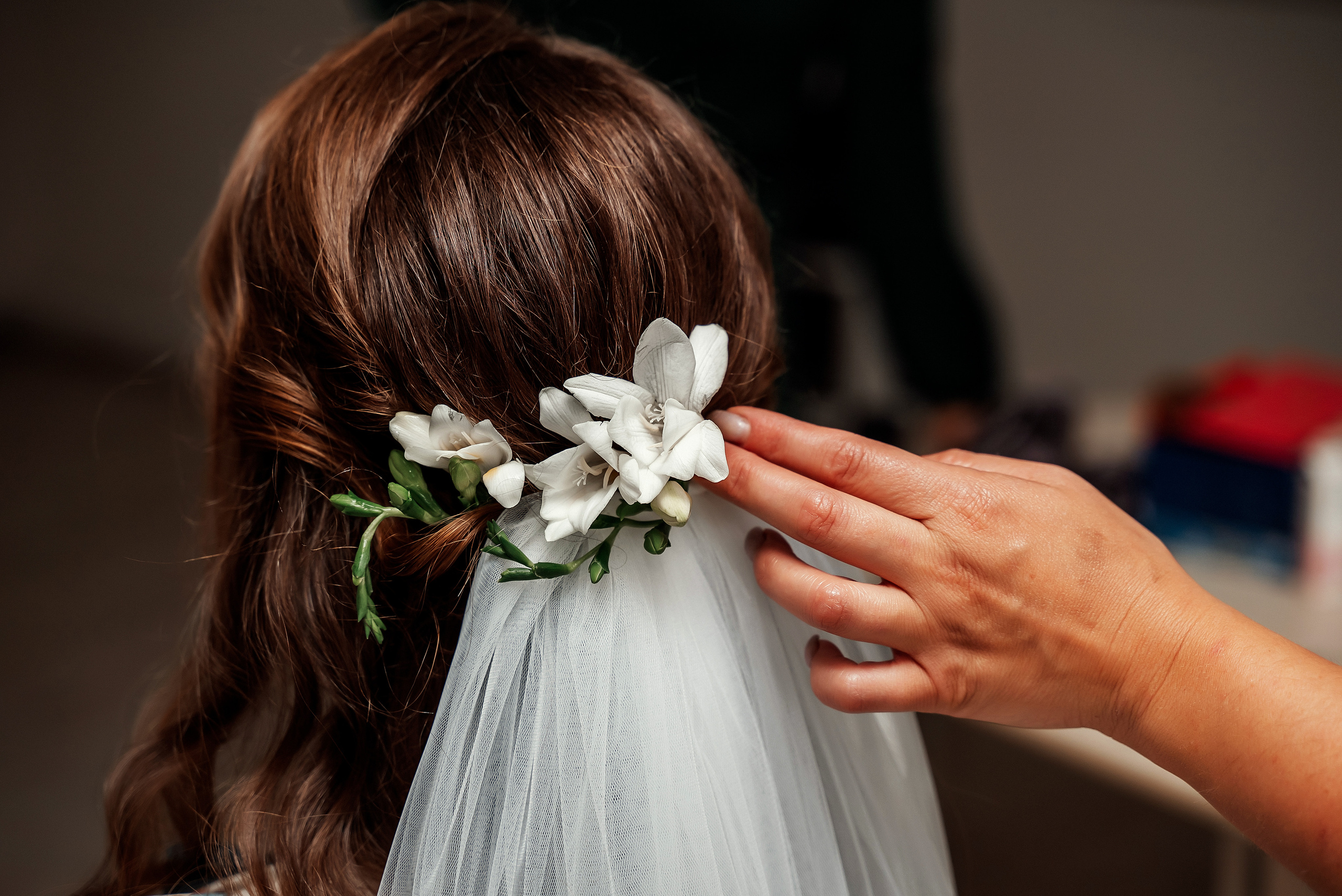 Кристина и Янис. Ваш фотограф в Латгалии — Александра Юхневича!