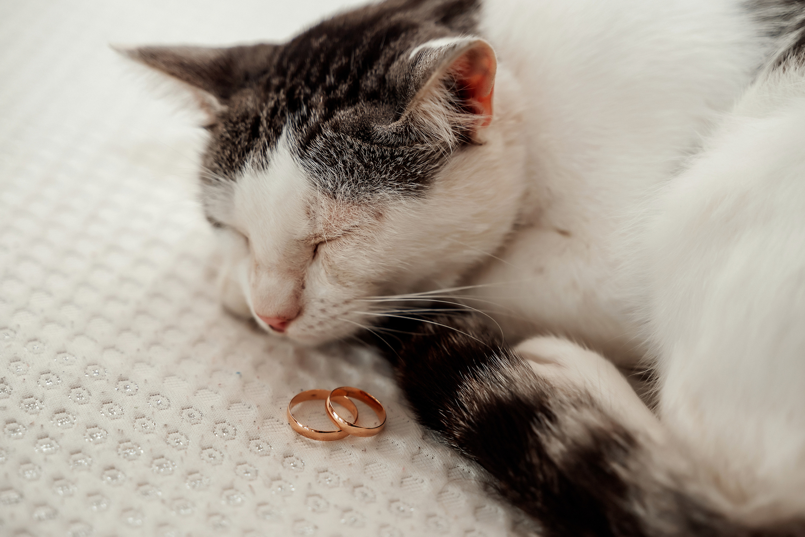 Кристина и Янис. Ваш фотограф в Латгалии — Александра Юхневича!