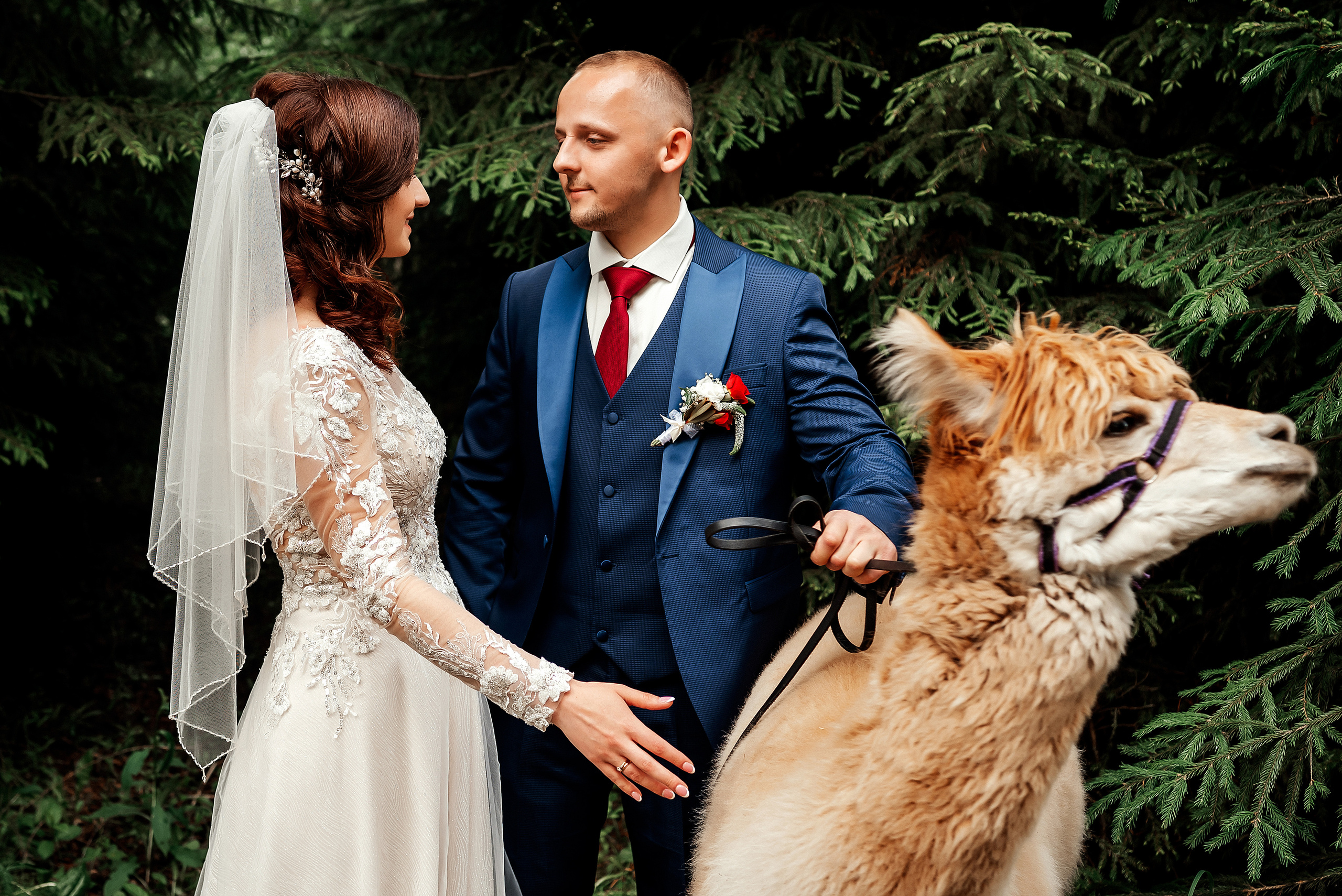 Juta un Emīls. Ваш фотограф в Латгалии — Александра Юхневича!