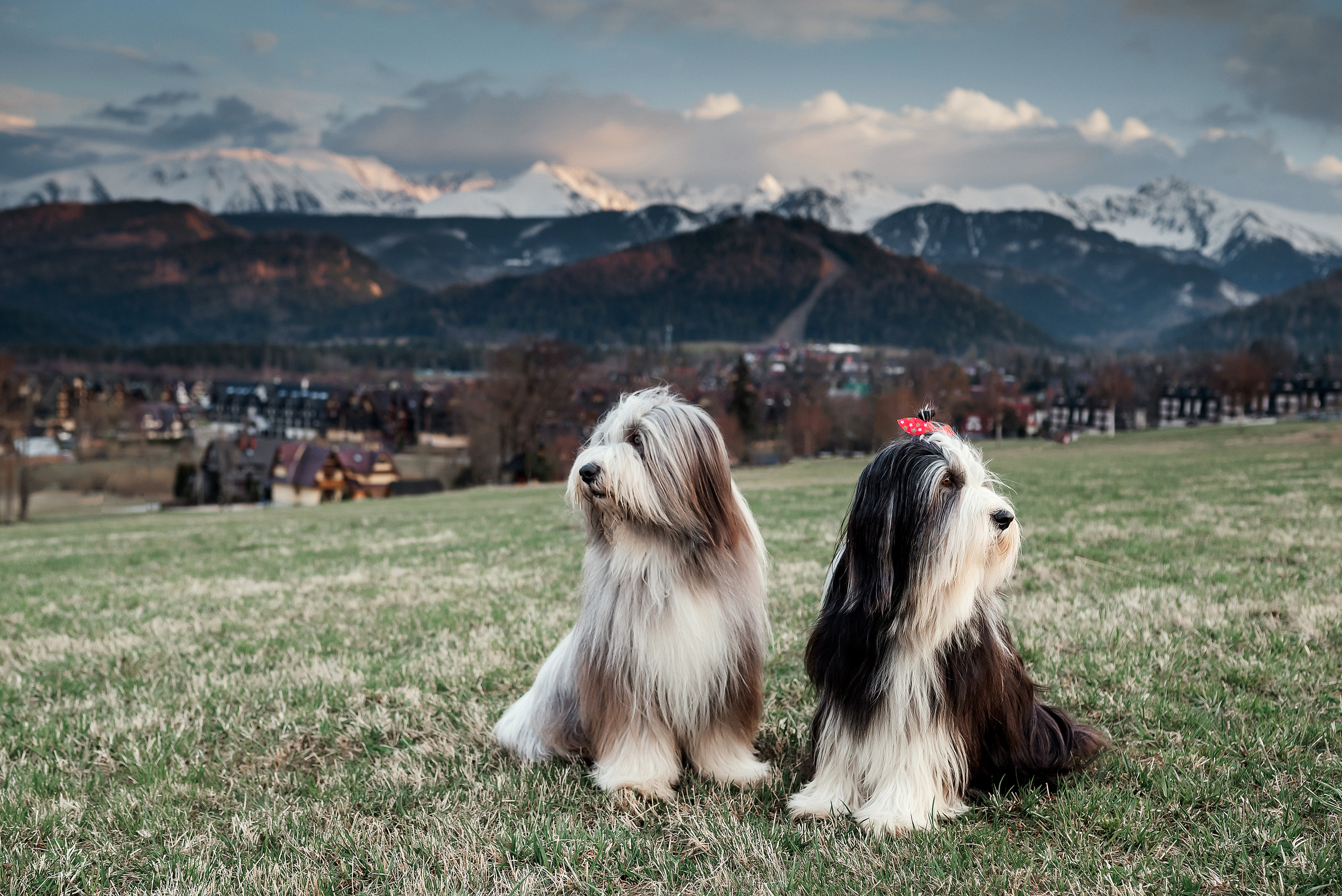 Roksana. Zakopane. Ваш фотограф в Латгалии — Александра Юхневича!