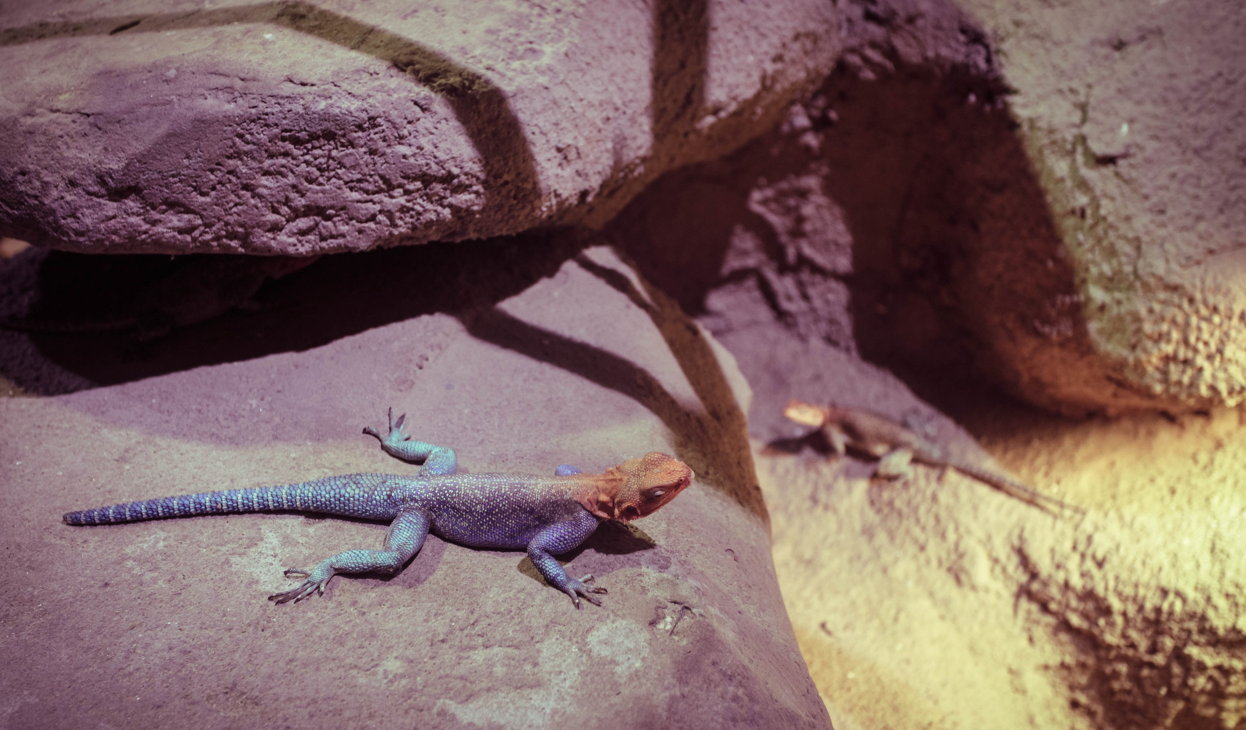 ЧЕХИЯ. Стрит-фотография, полная абсурда, идиотизма и красоты