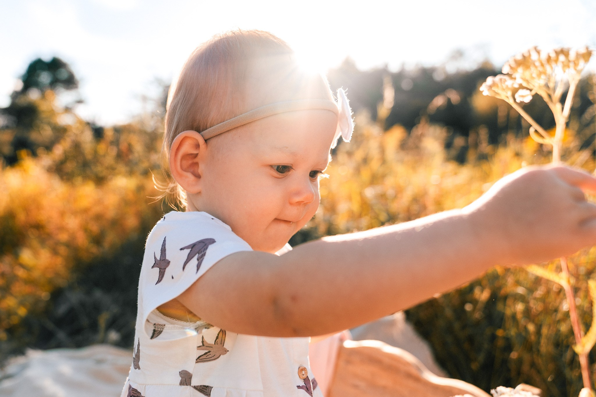 SESJE DZIECIĘCE. Fotograf Gdańsk - Malwina Beszczyńska | Sesje ciążowe - brzuszkowe