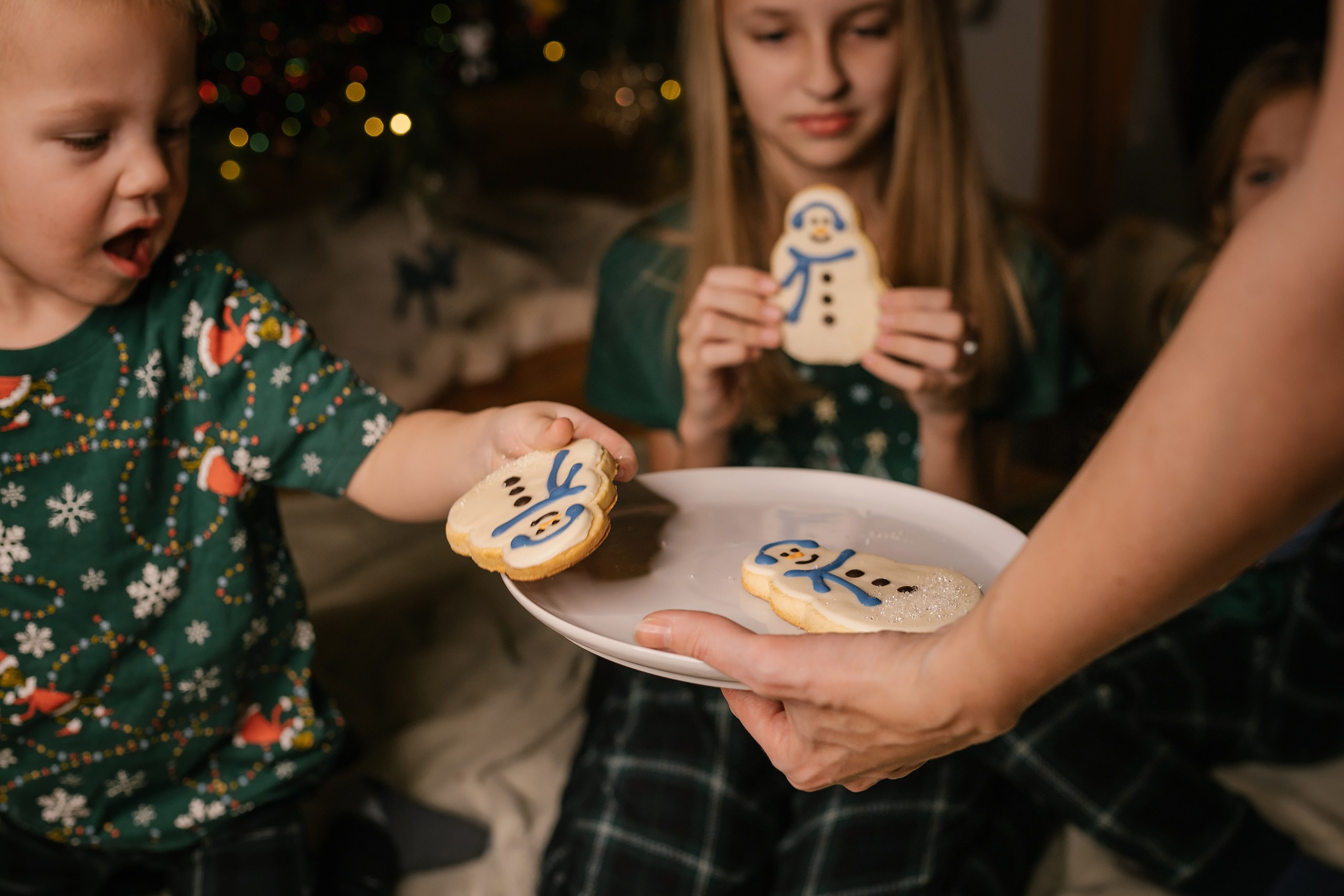 12.07.2025 Christmas Photoshoot. Wedding family event photographer in Chicago Nick Yushevich