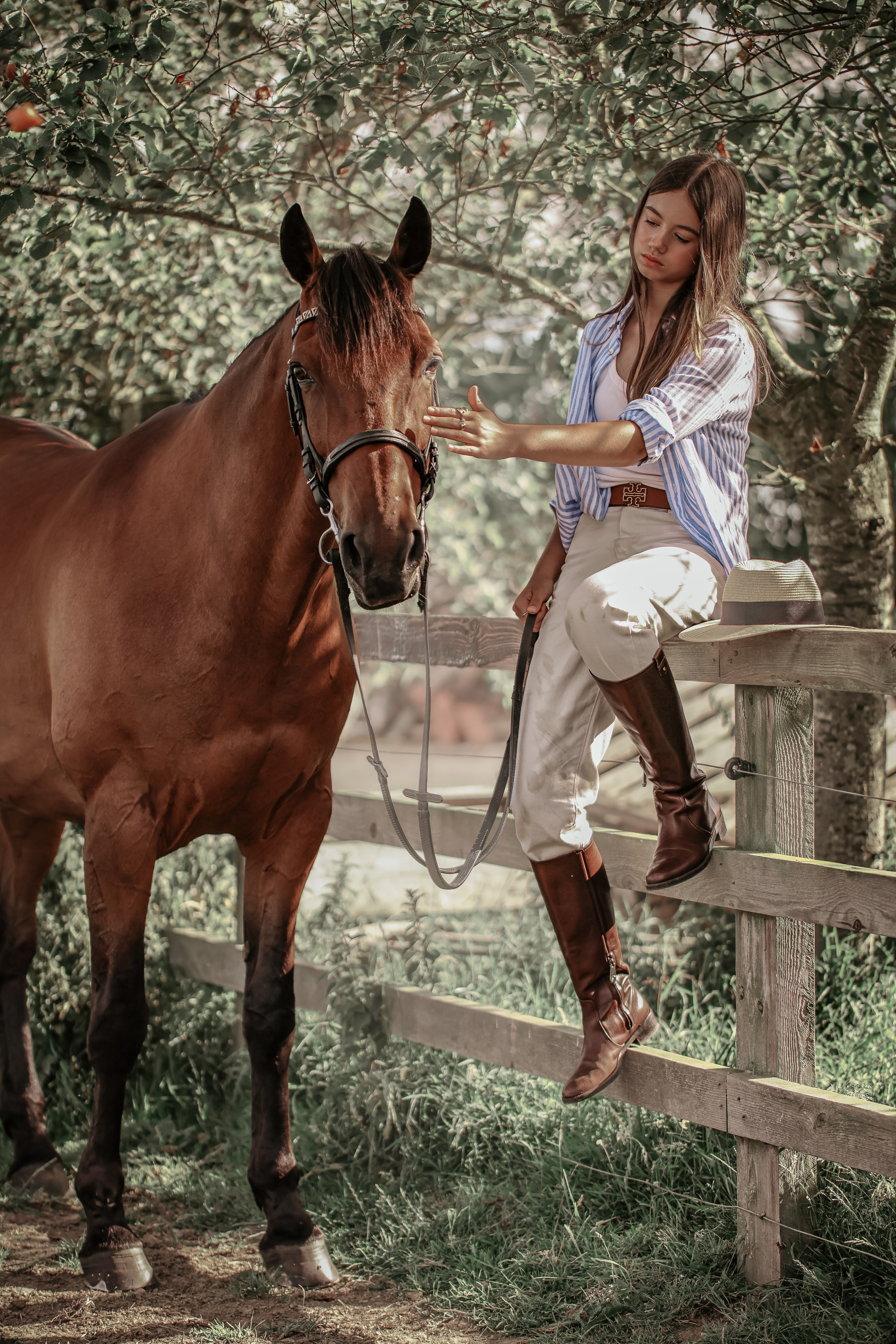 Among the Horses. Photographer Co Dublin, Balbriggan — Agata Maliseva