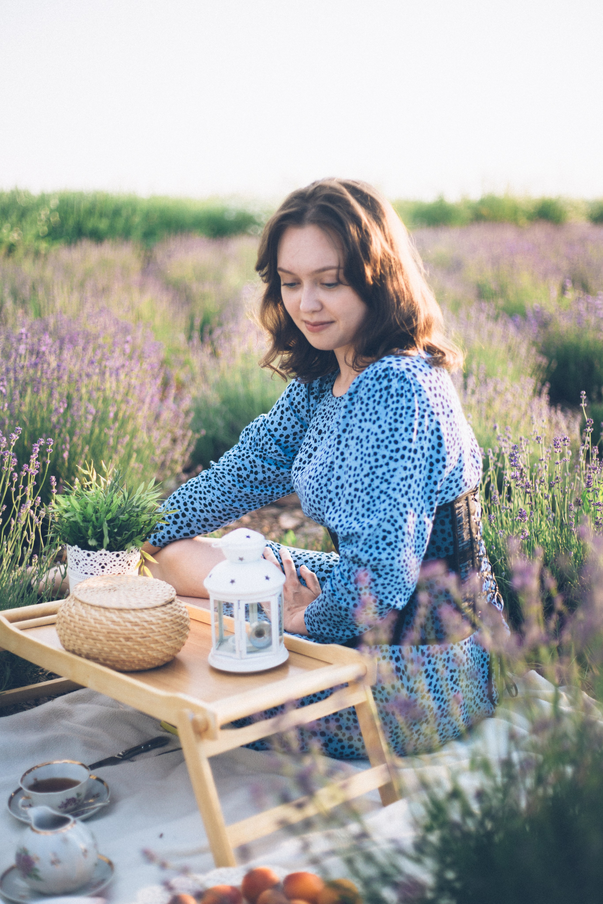 Lavender field. Photographer Anna Curly | Weddings and Events in Dubai