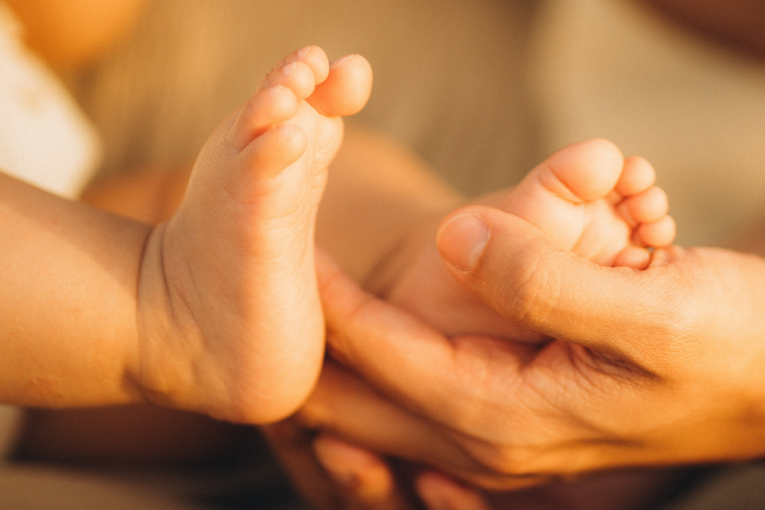 Sunset in the desert. Angela Iakovleva — Family Photographer in Dubai