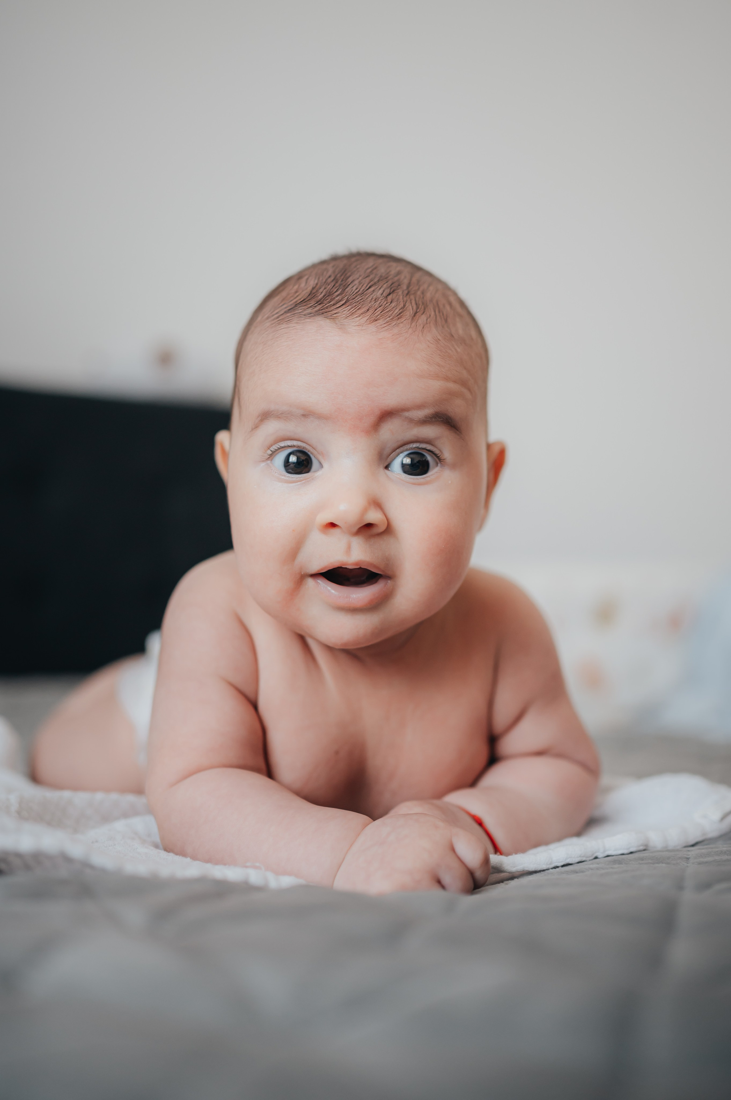 Tudor’s Christening