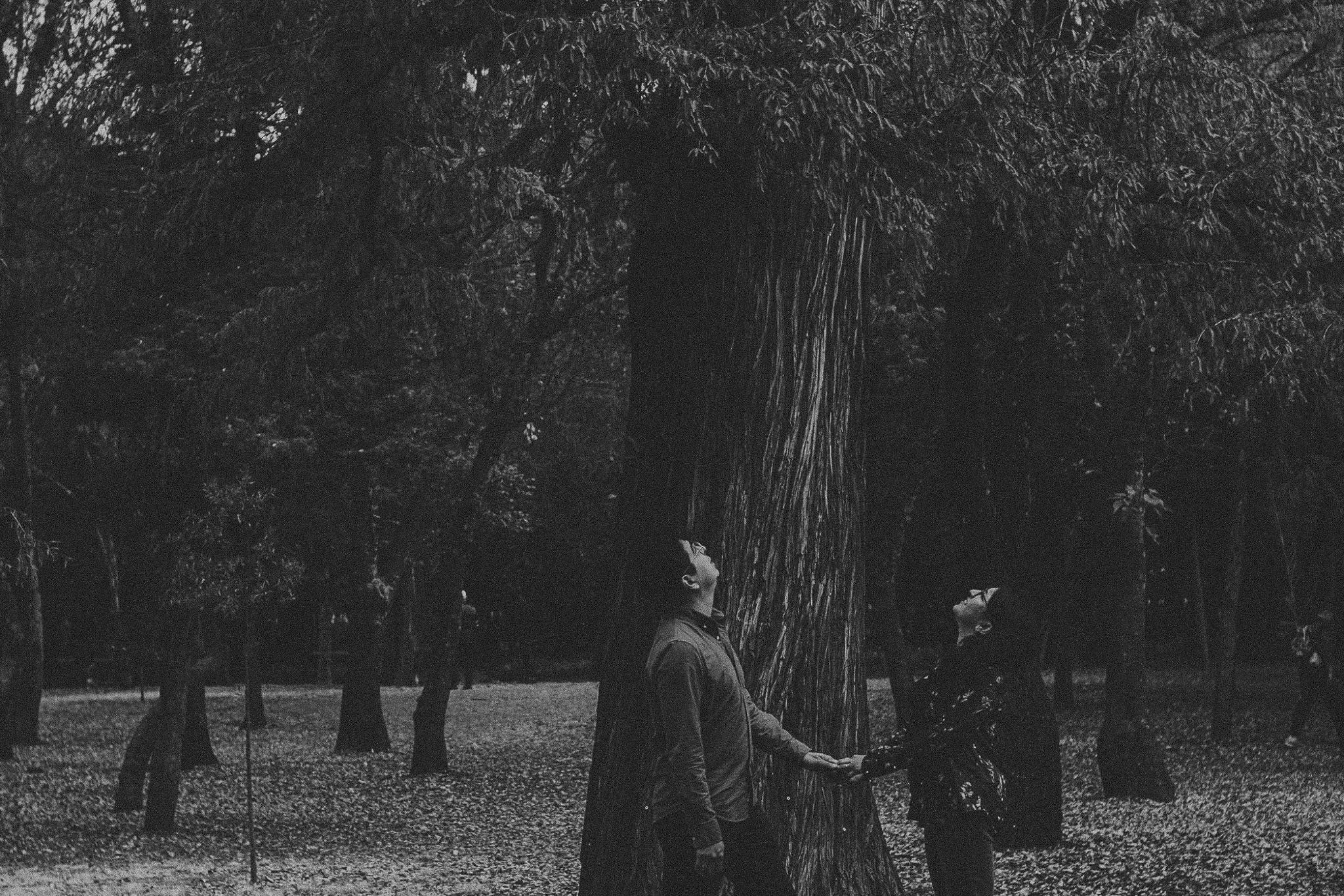 Gin & Cesar. Wedding and family photographer in Mexico City