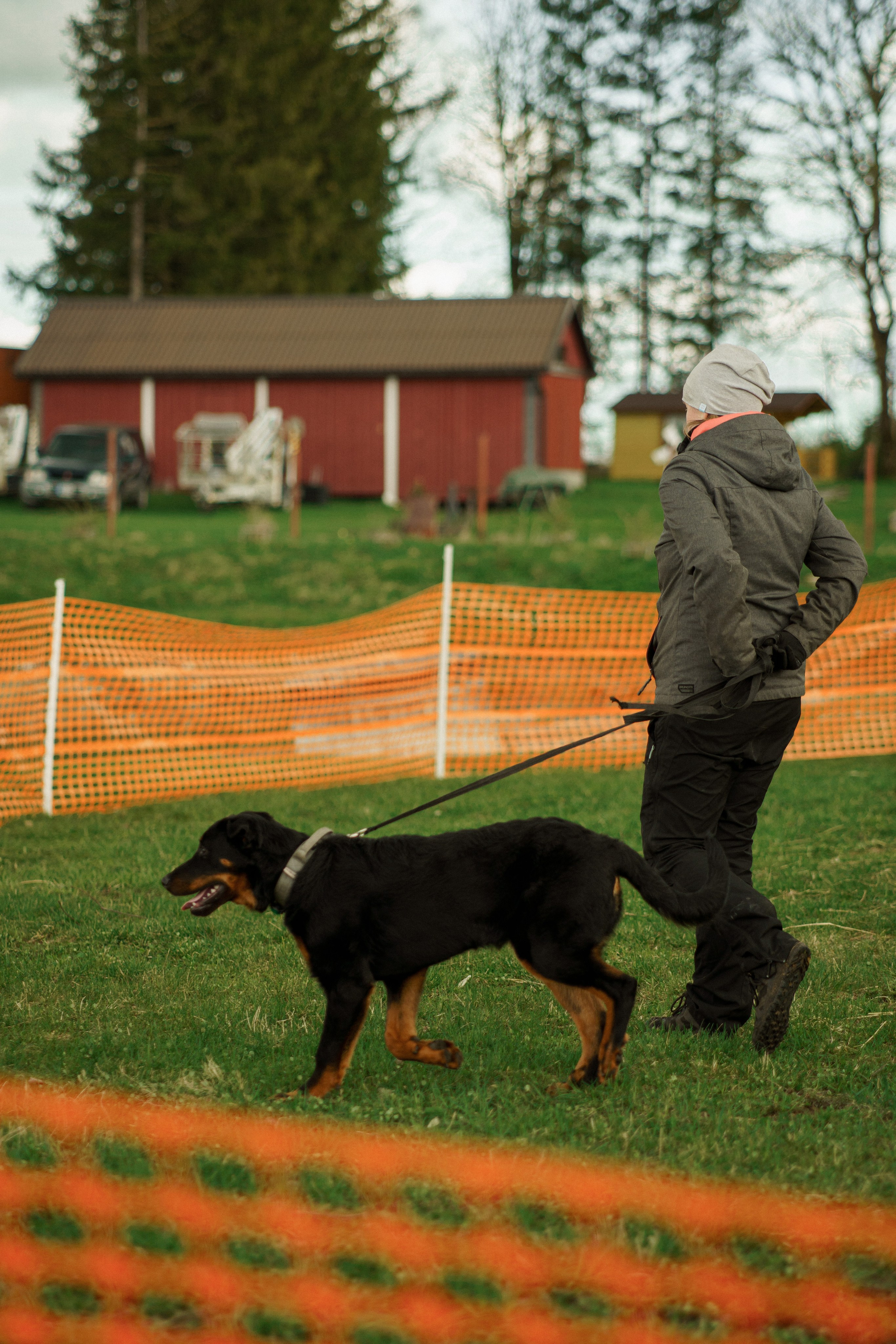 Herding Days, 26 apr. 2025. Kat Laisaar — Pet photographer in Tallinn