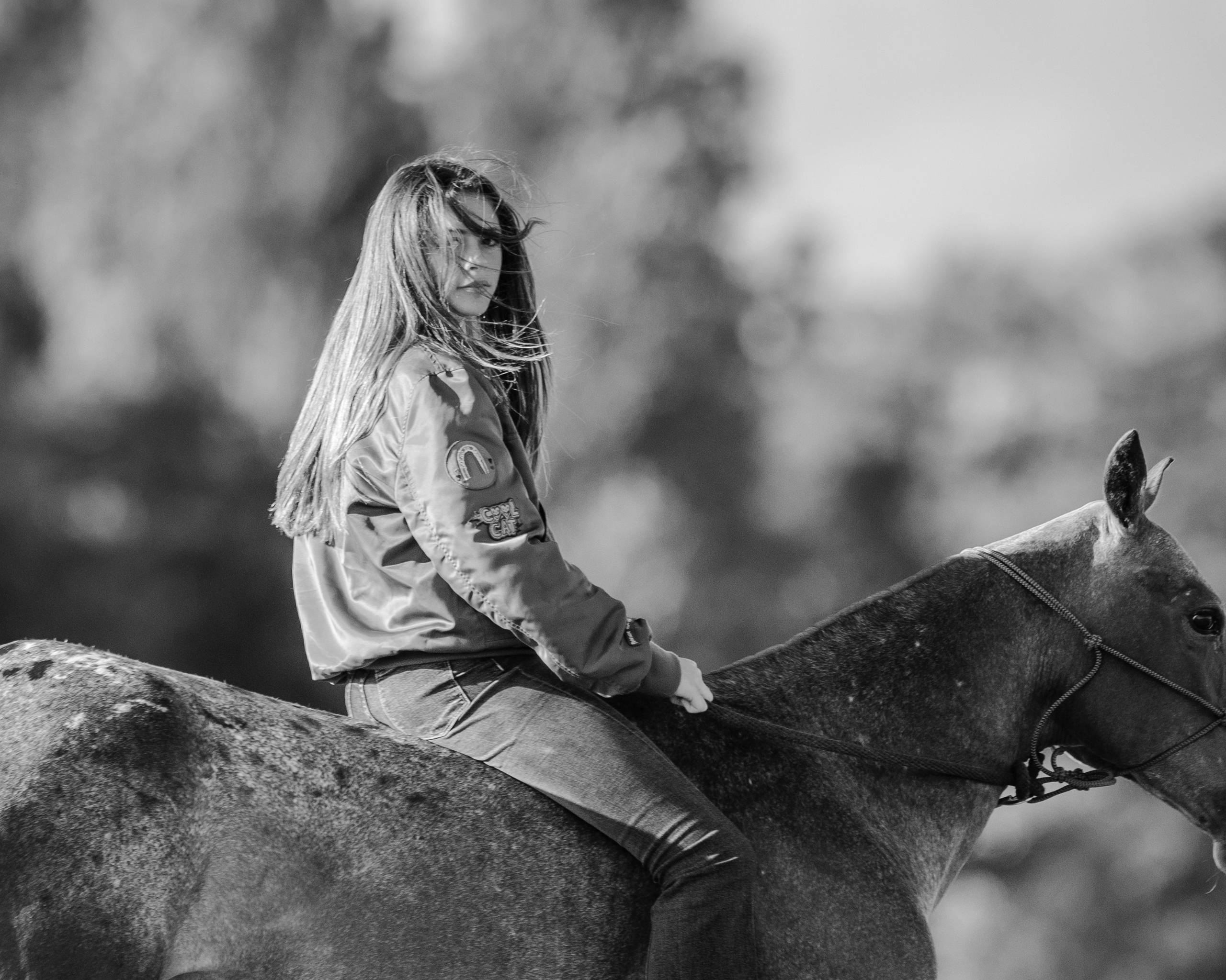 Photo shoot with horses