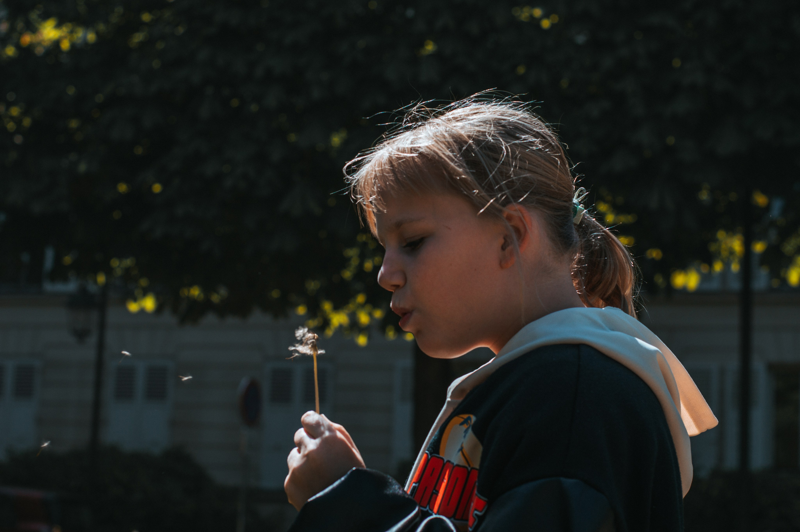 Франция. Анастасия Благова — Твой фотограф в Малаге 🇪🇸