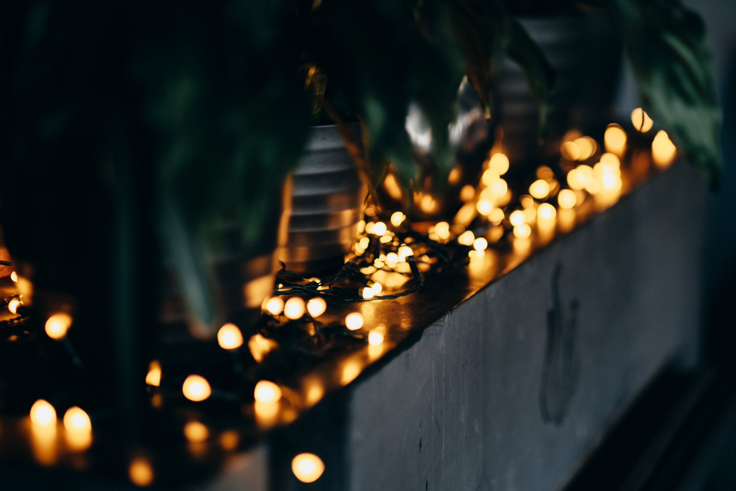 Kāzu stāsts Madara & Dains. Kāzu × Ģimenes notikumu fotografs Edgars Kalniņš