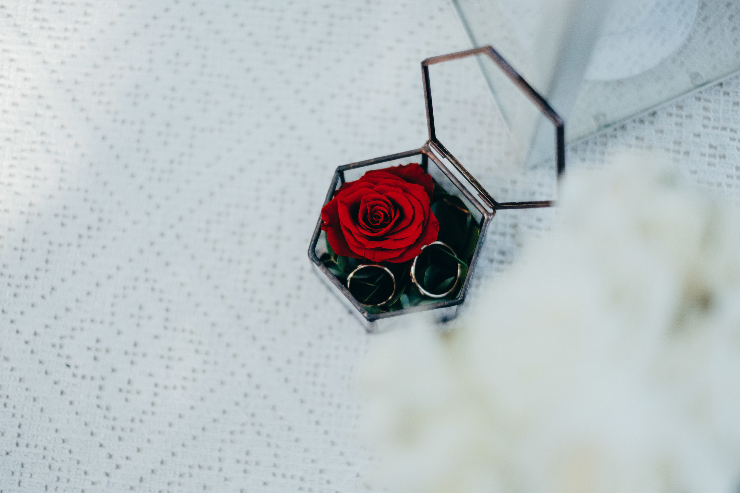 Kāzu stāsts Madara & Dains. Kāzu × Ģimenes notikumu fotografs Edgars Kalniņš