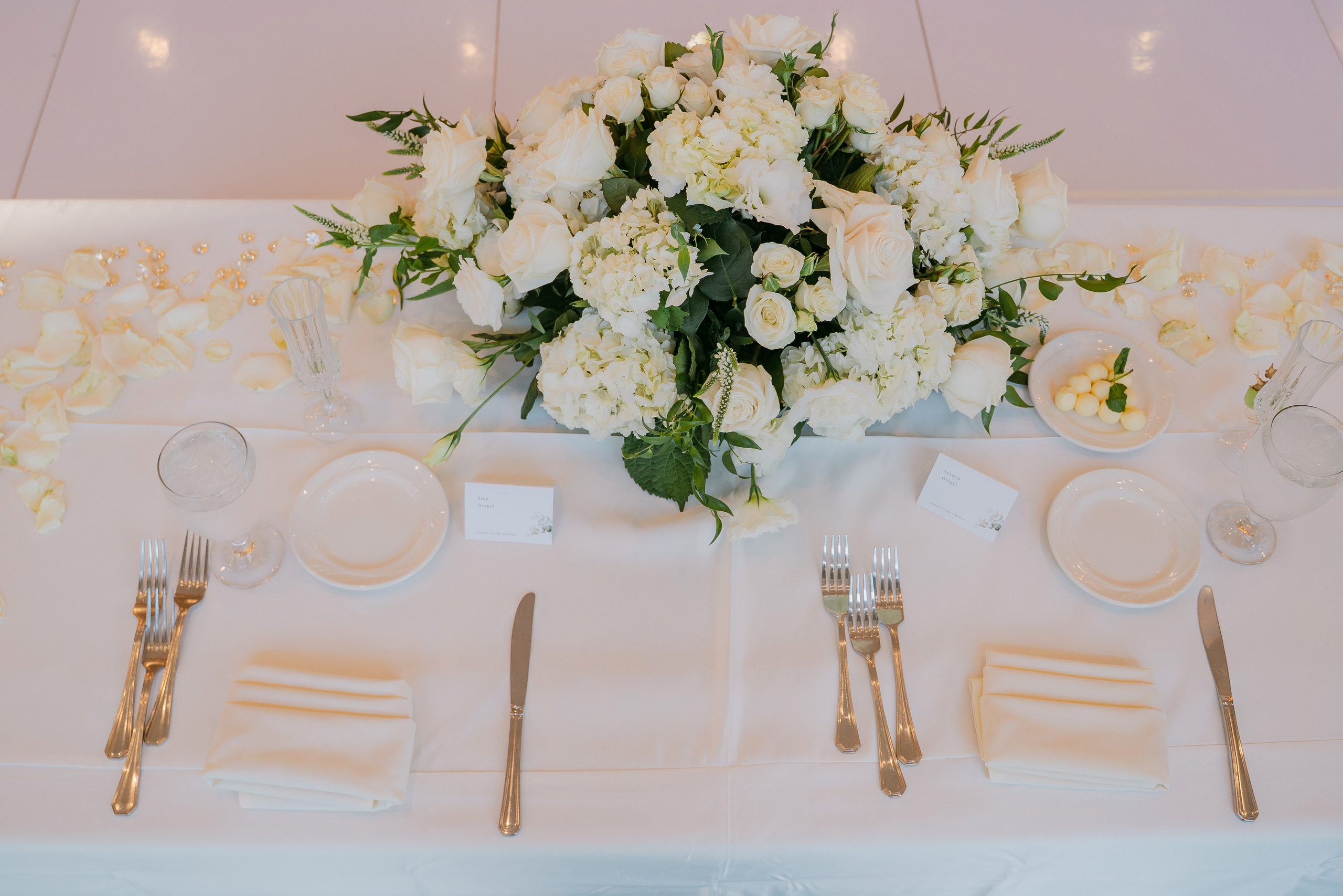 Jazzmin & Alan. Babich_weddings