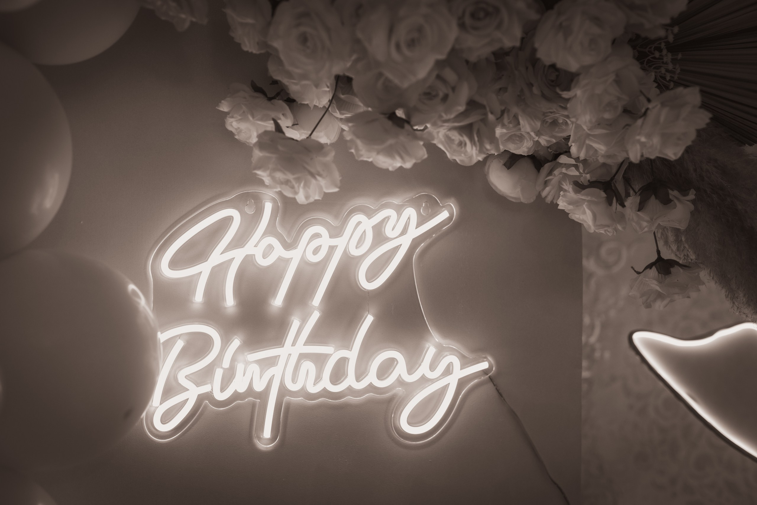 Anja 18. rođendan. Marko Tucić Photography | Fotograf Zrenjanin