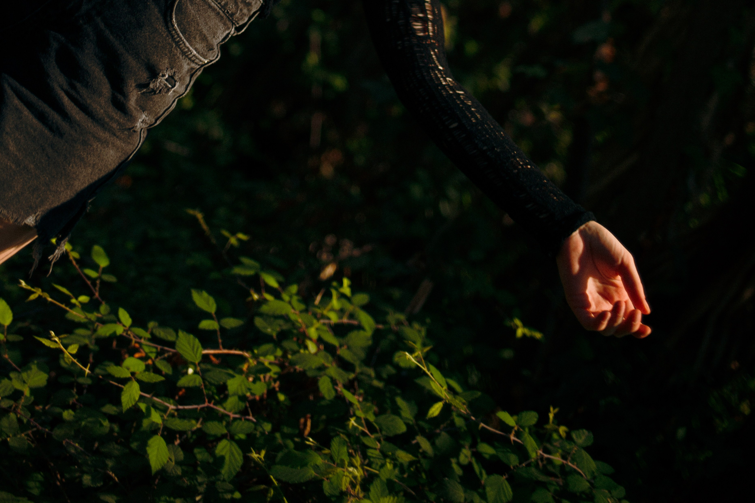 An artistic girl in nature. Marina Kálcheva — Photographer, Videographer & Visual Artist in Barcelona