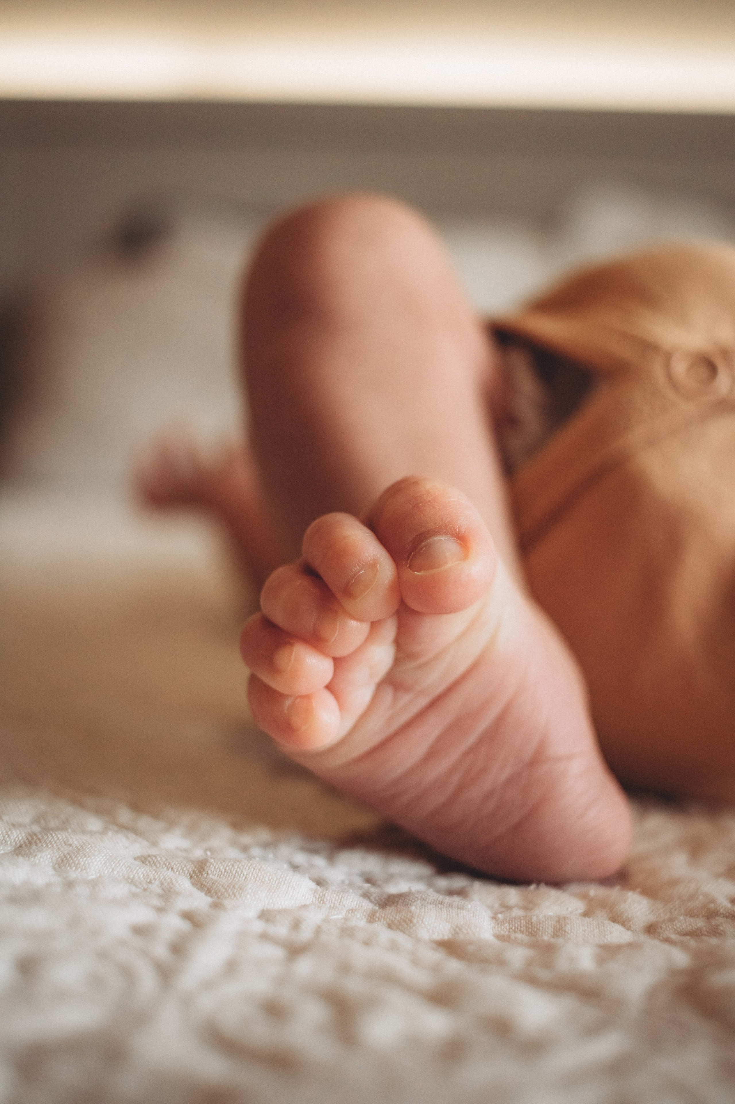 Saulo — Primeiros Dias. Principal