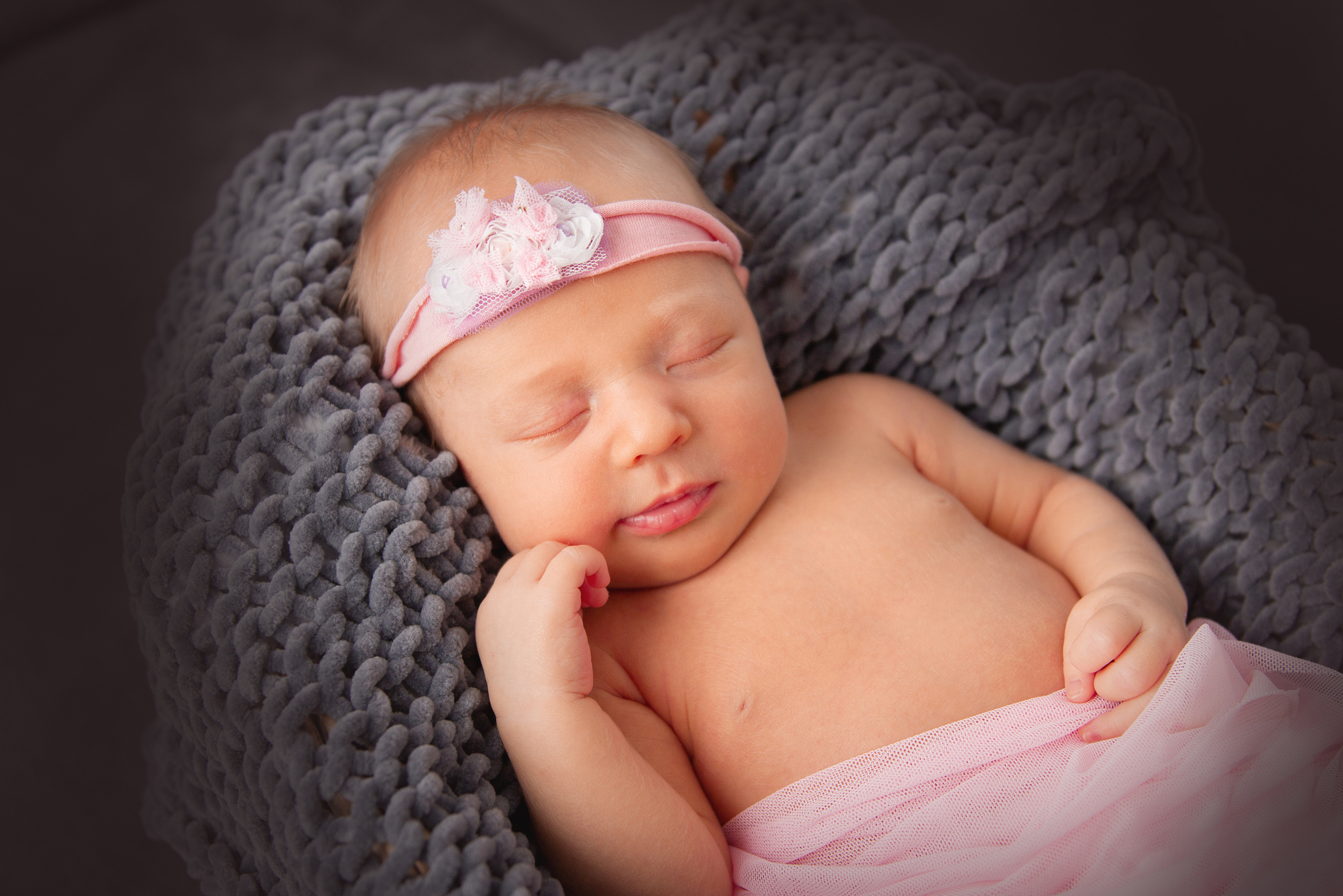 rose Beiwercke Staffage