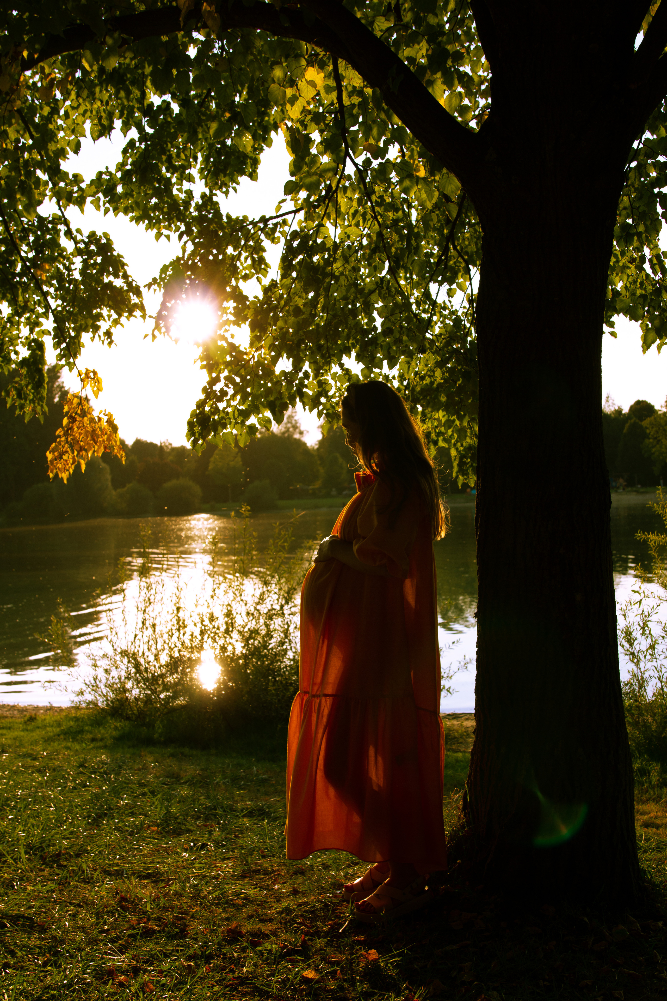 Gegenlicht in der Fotografie im Wald