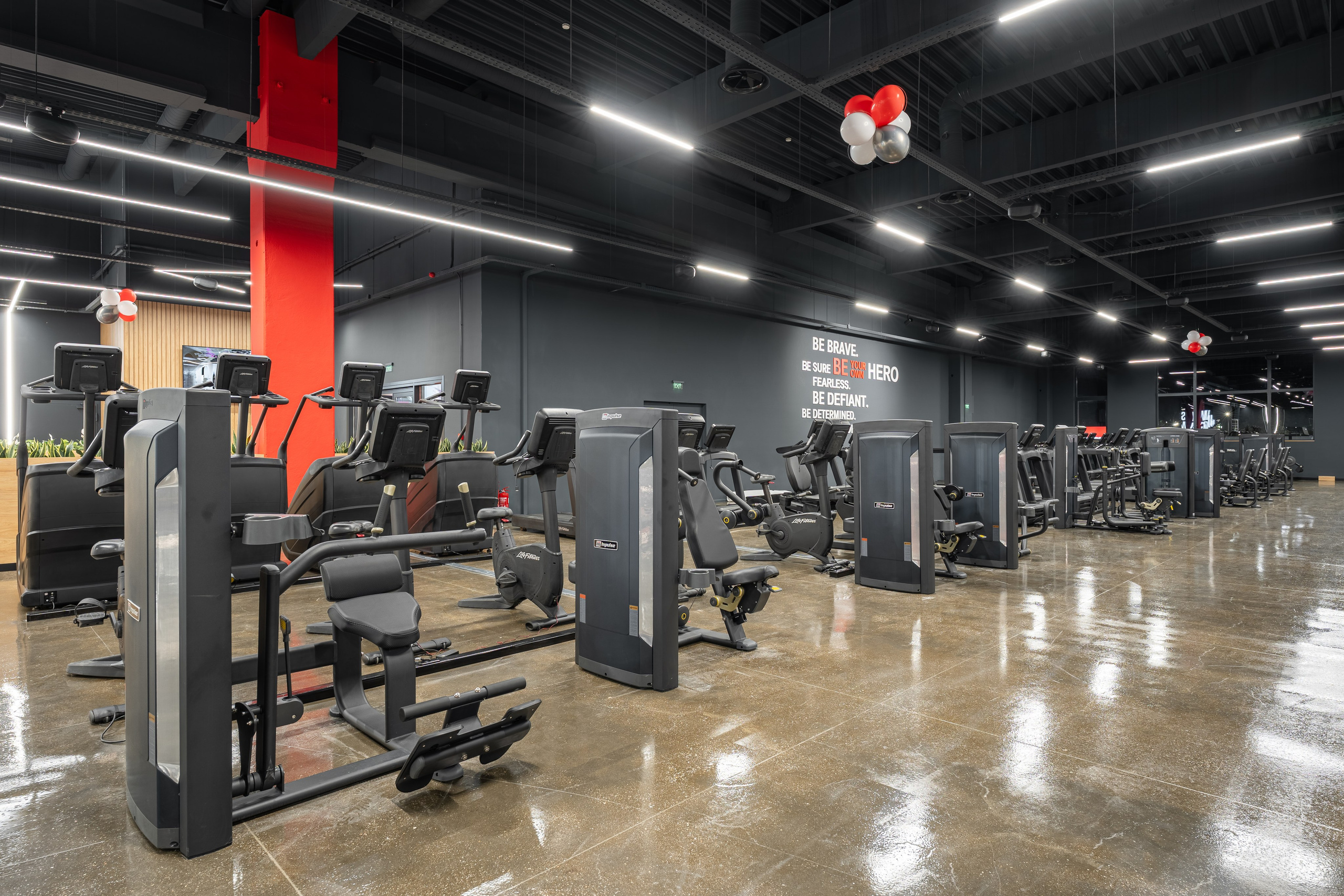 WEST GYM PARK MAXX. Професионален фотограф в Пловдив и областта