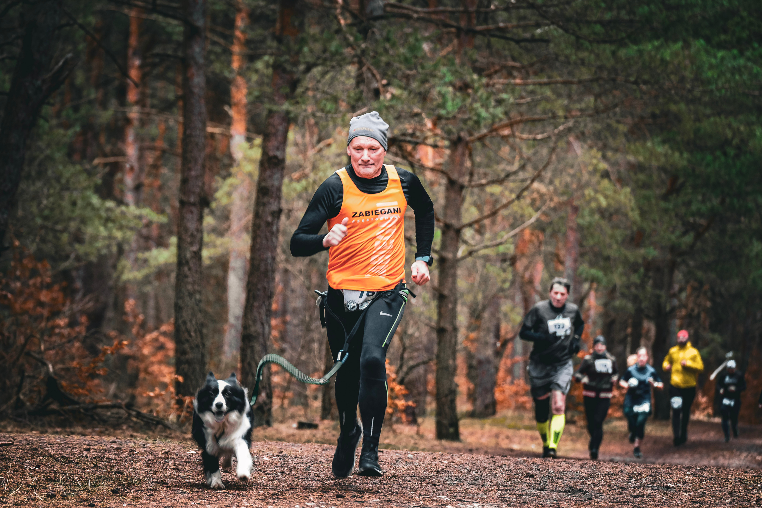 V cross wokoł Małego Giewontu. Main