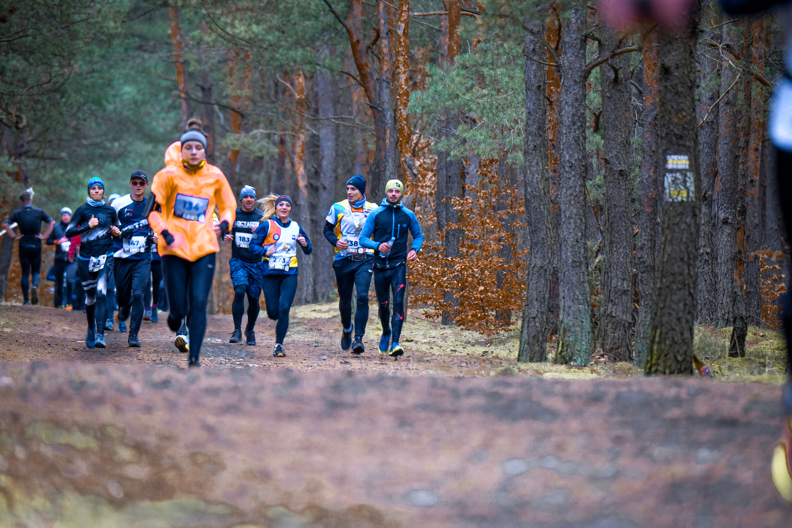 V cross wokoł Małego Giewontu. Main