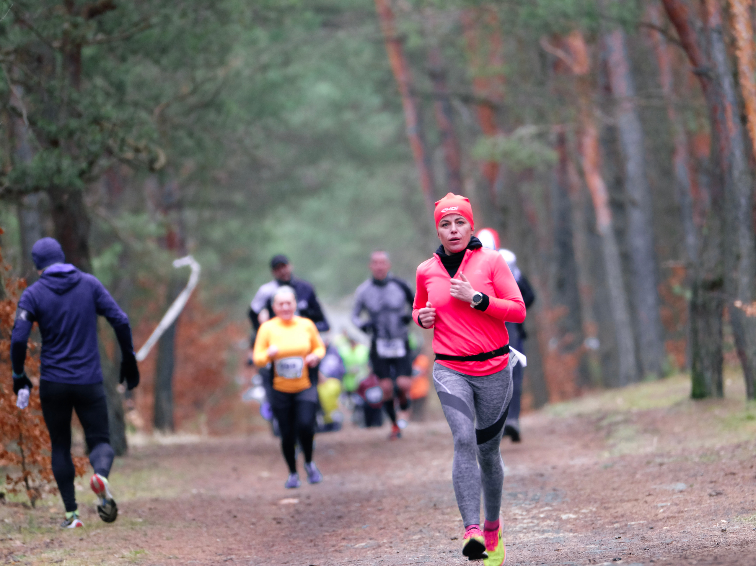 V cross wokoł Małego Giewontu. Main