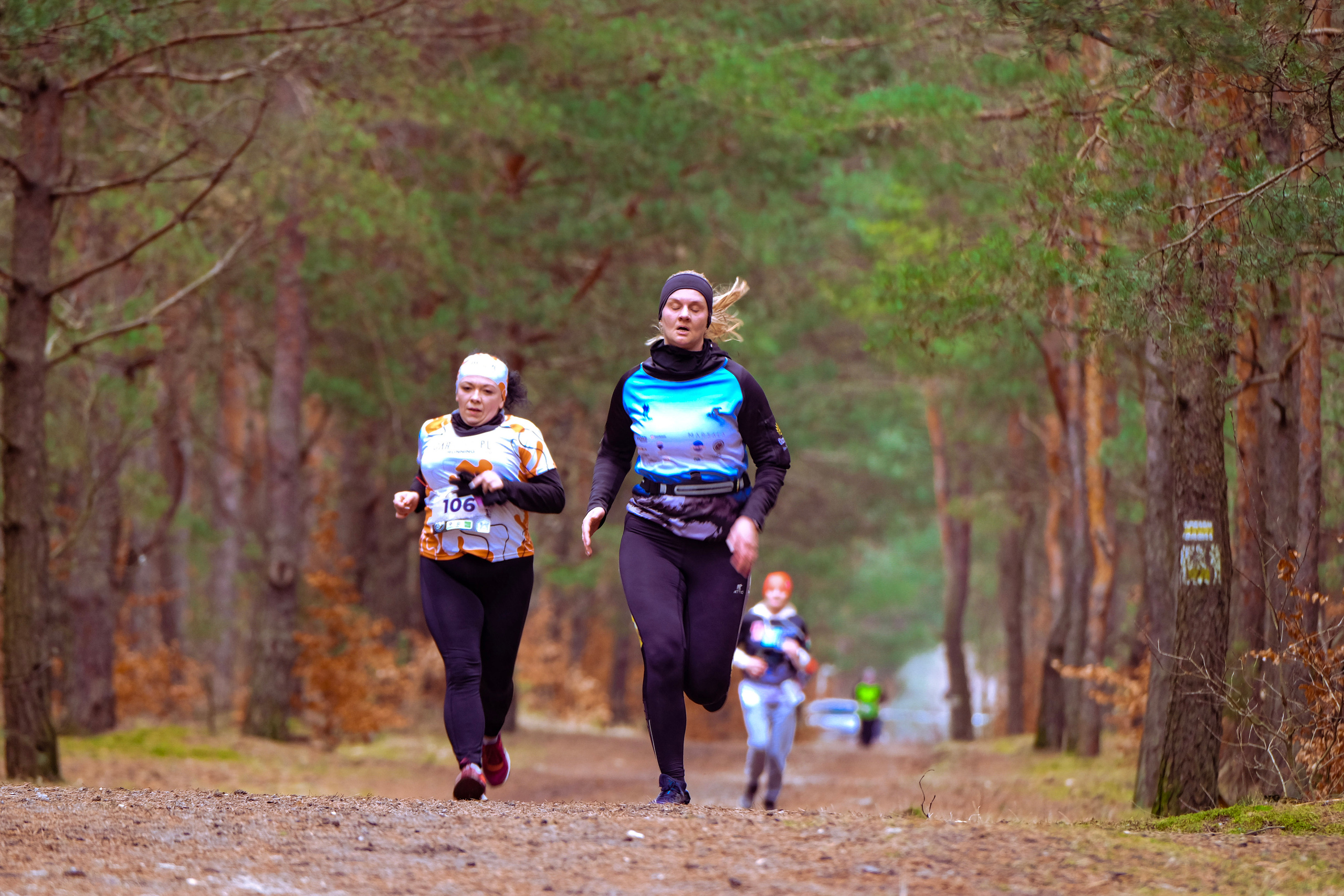 V cross wokoł Małego Giewontu. Main
