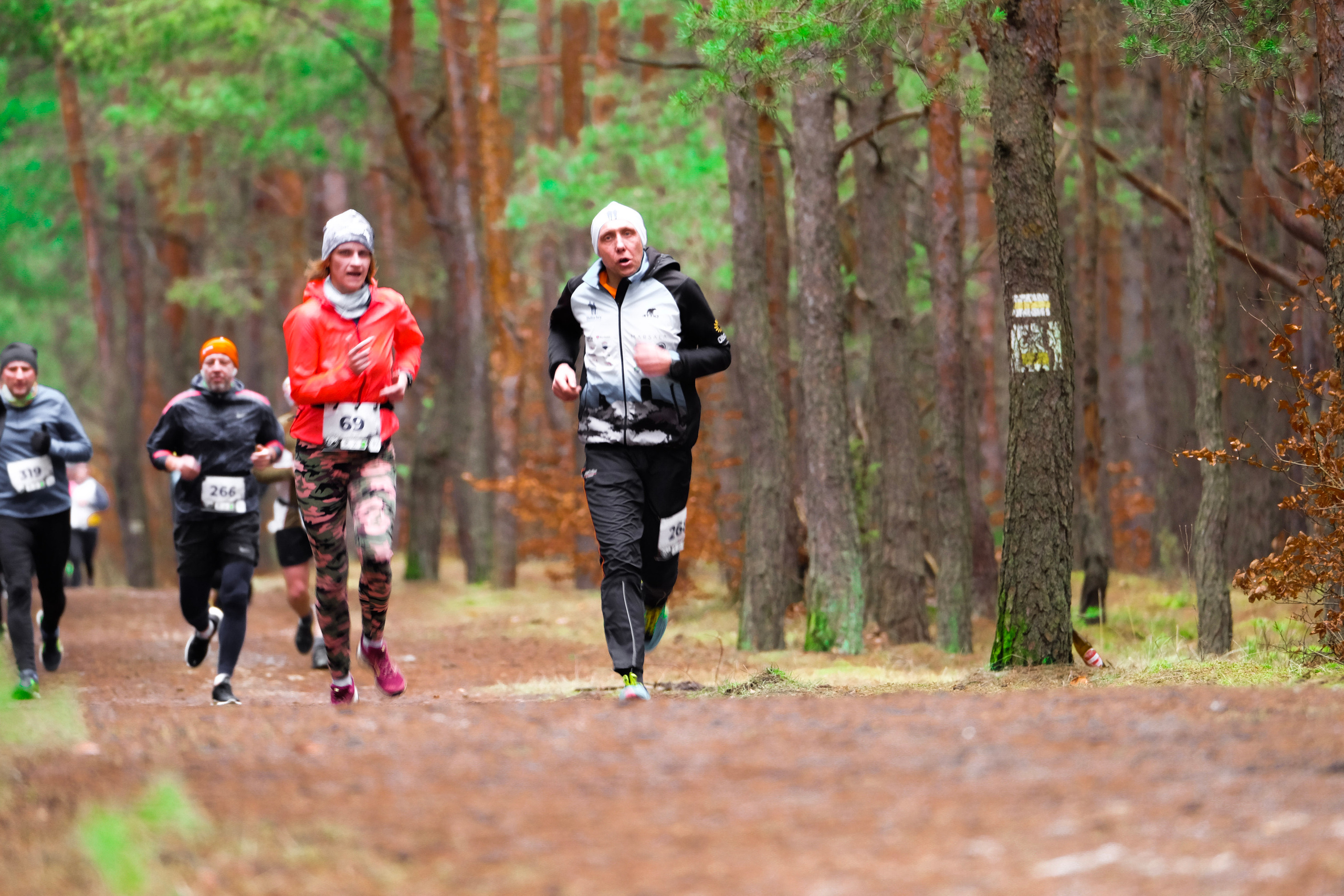 V cross wokoł Małego Giewontu. Main