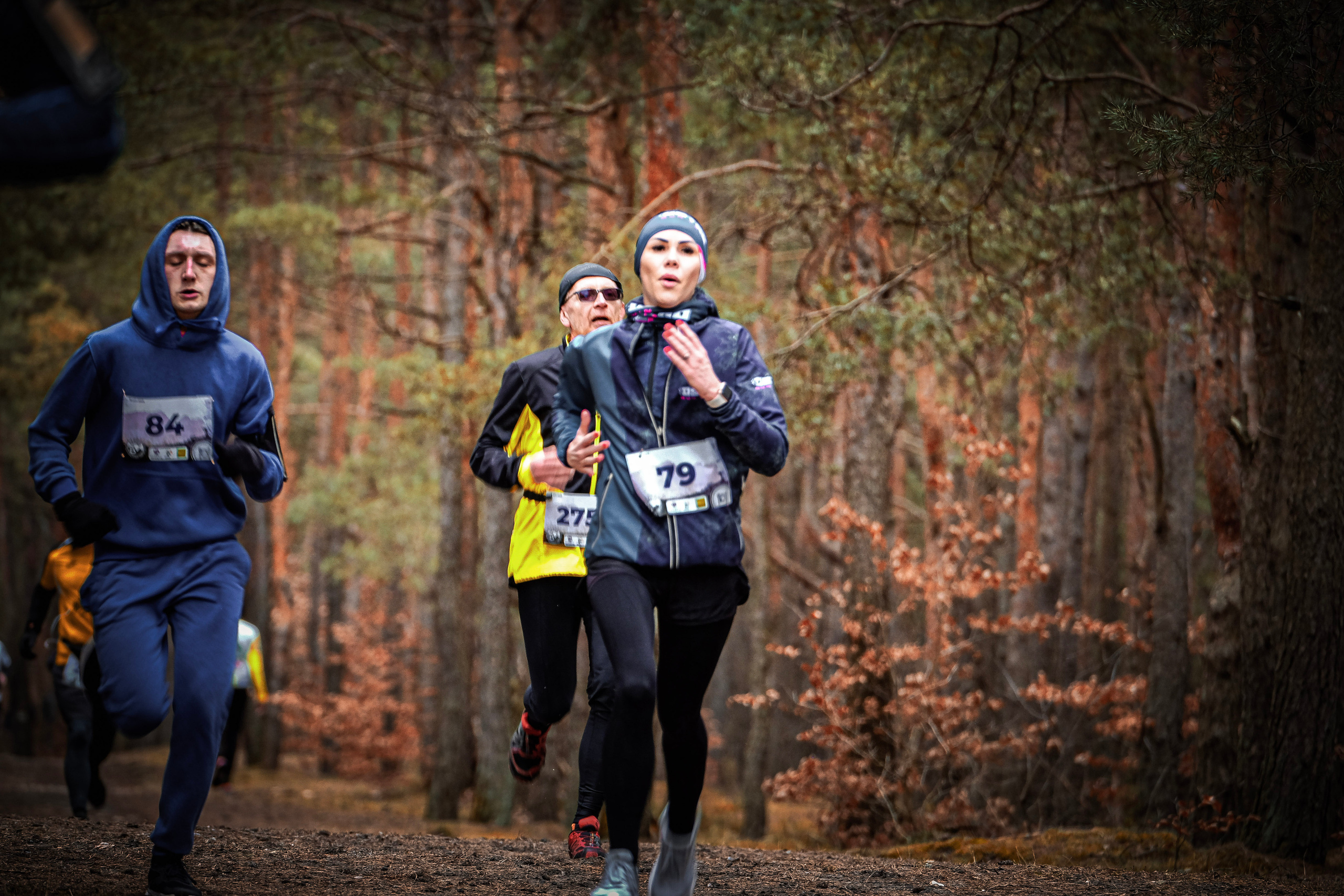 V cross wokoł Małego Giewontu. Main